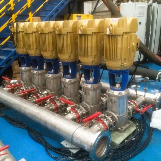 Sizing & Selection.JPG