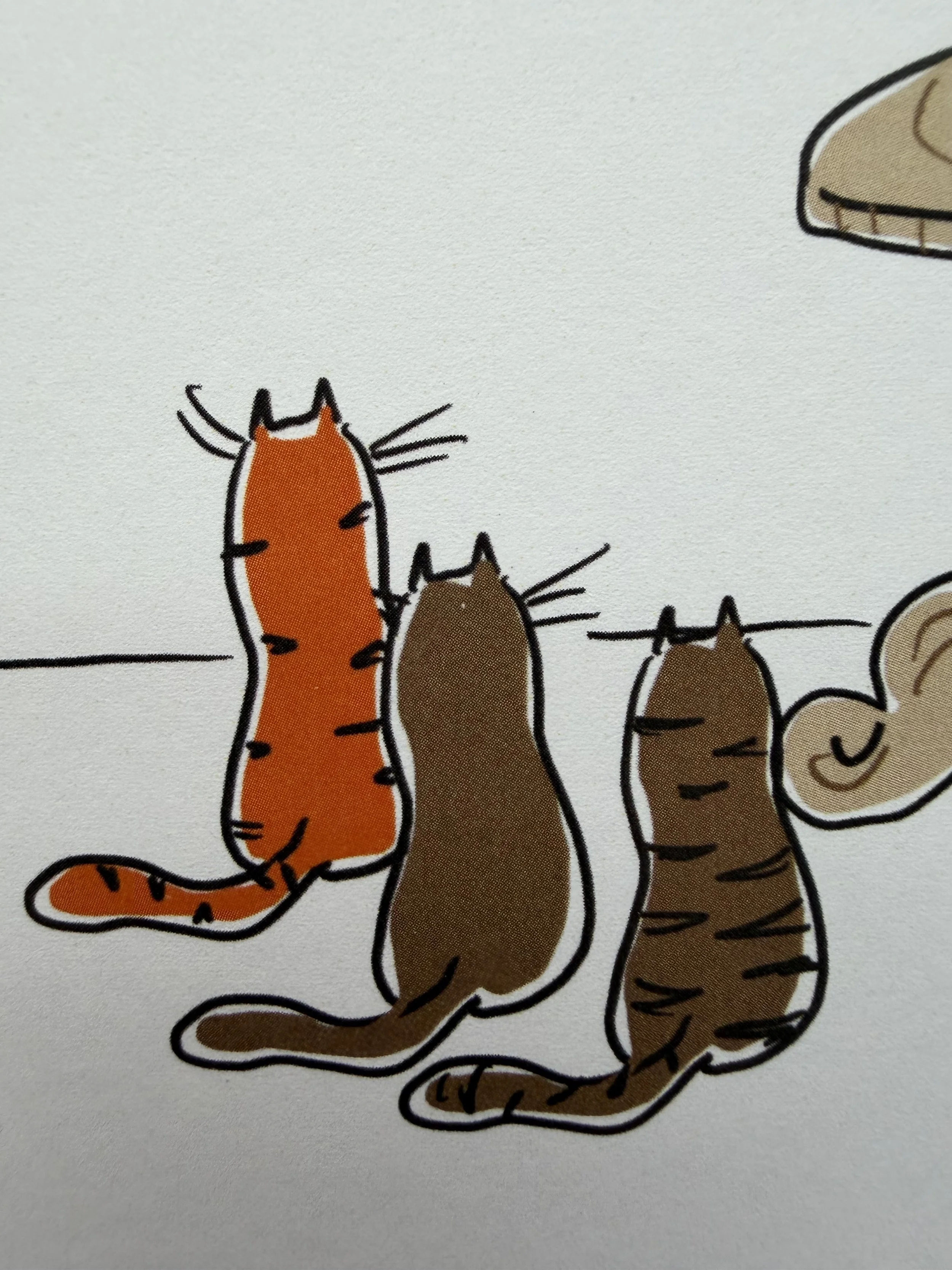 Cat and fishes closeup.jpg