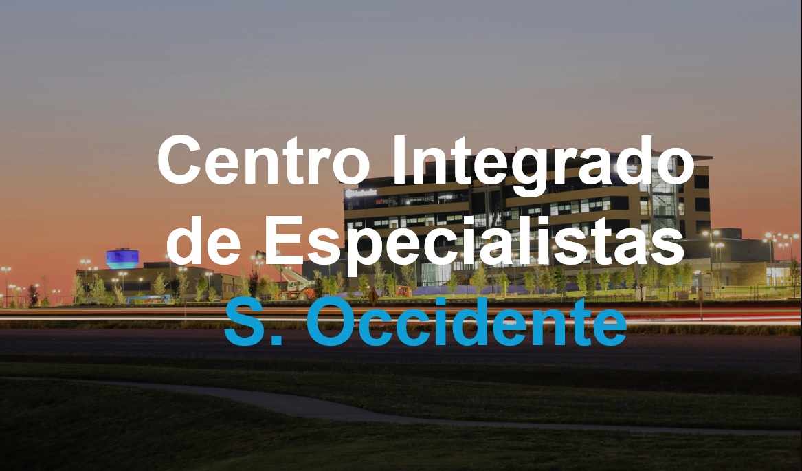 CENTRO INTEGRADO.png