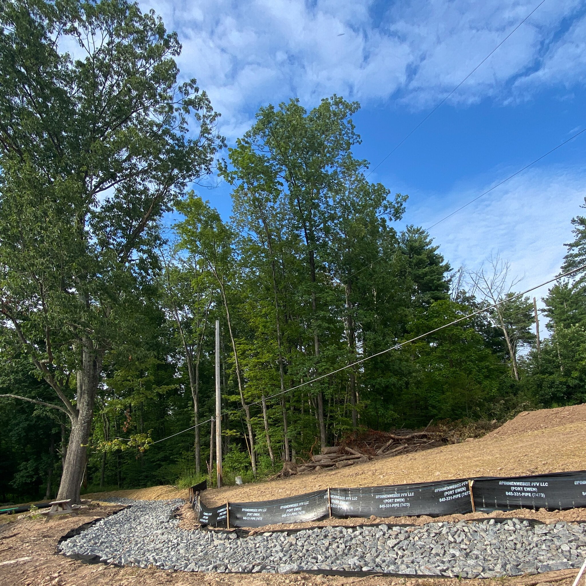 Stormwater retention built around a beloved oak tree