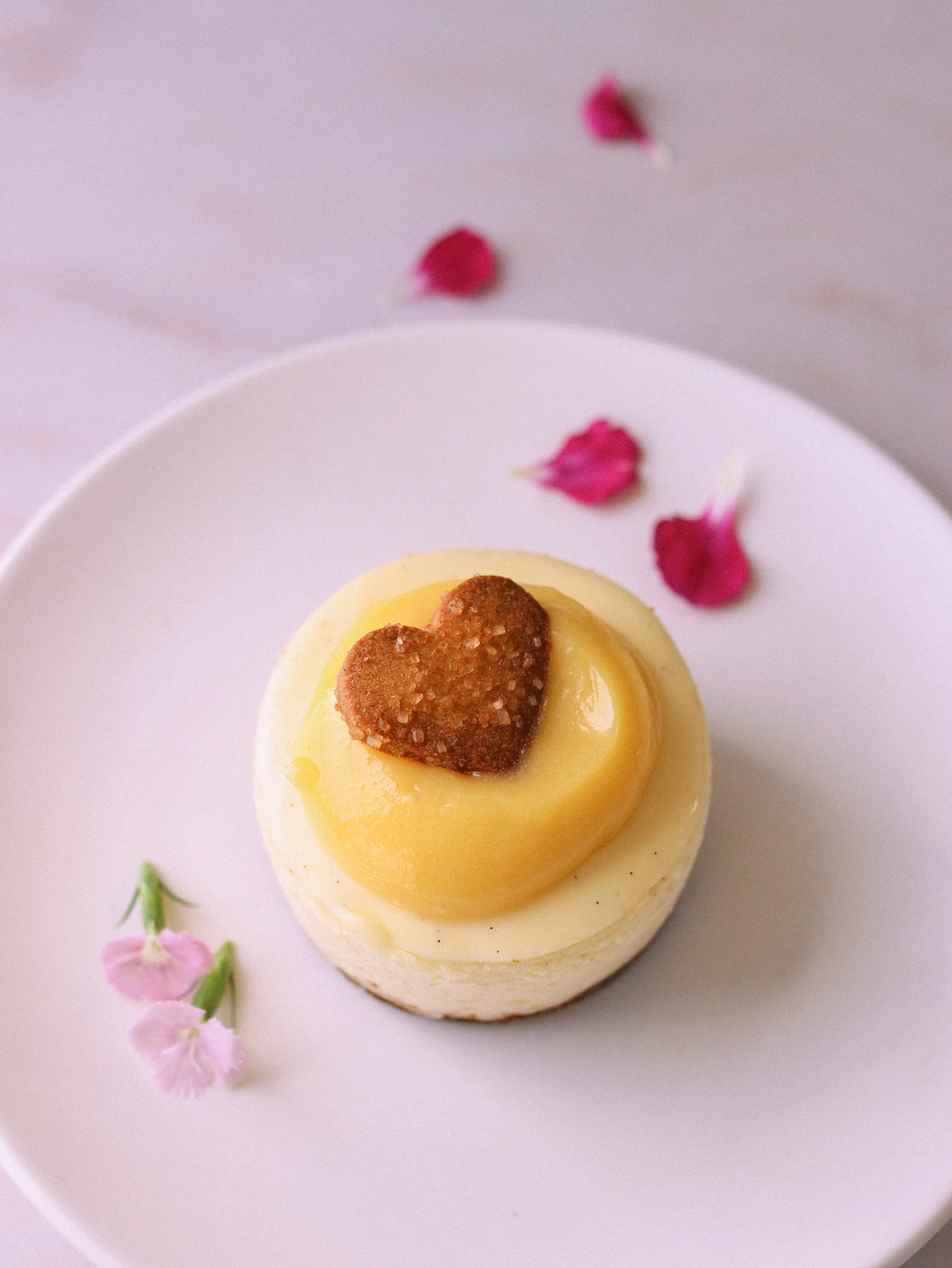 SQUARE PHOTOSHOOT1000-2.jpg