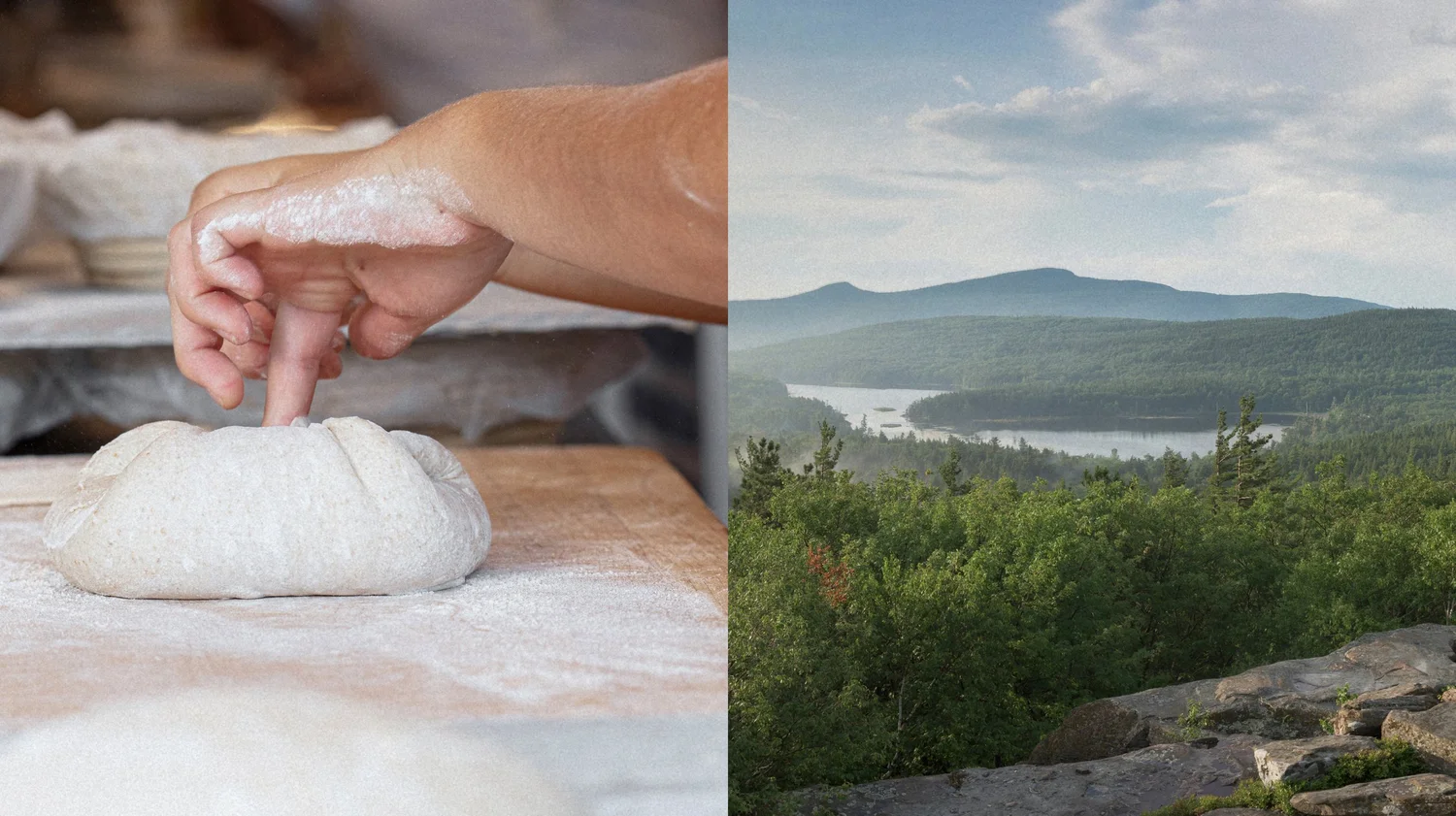 Bread Alone Bakery & Cafe (Rhinebeck)
