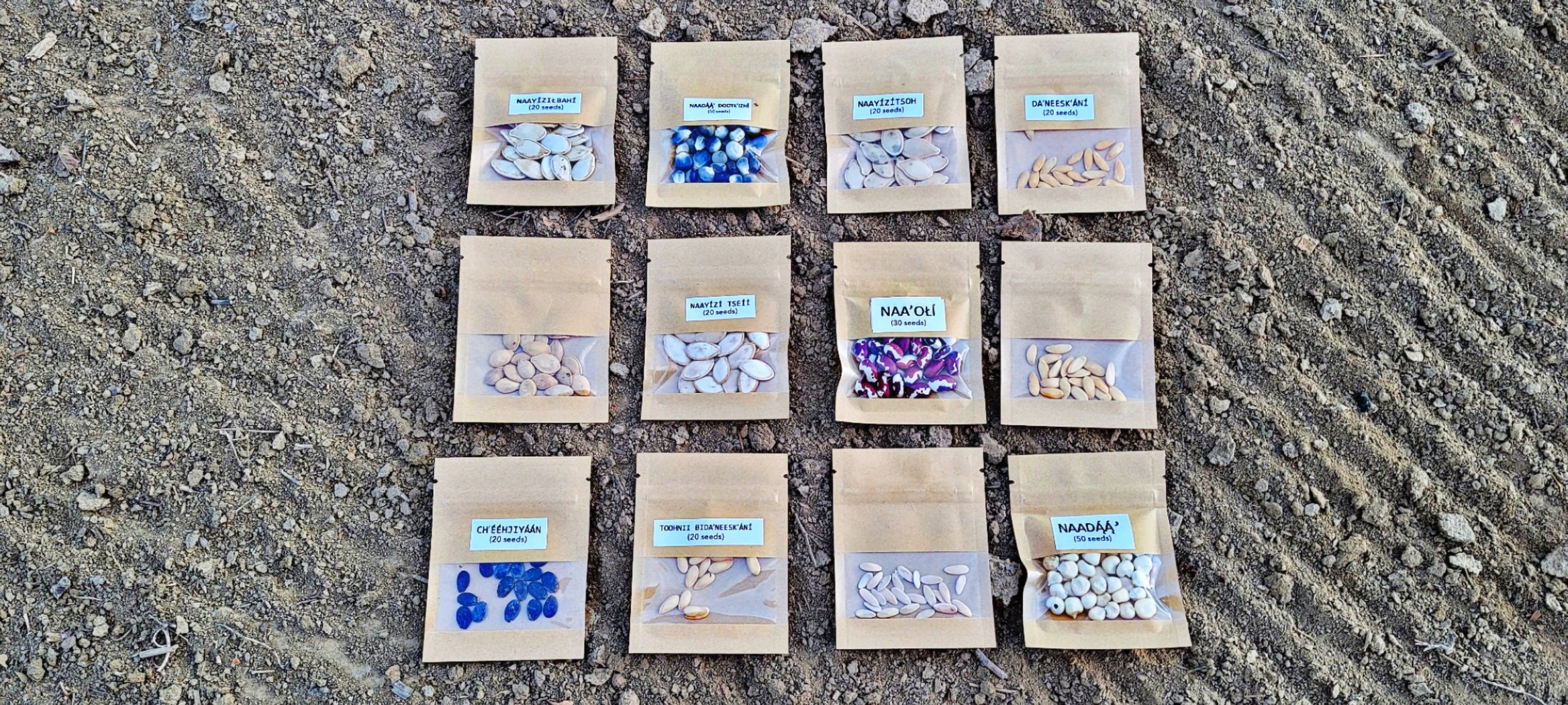 s890313937475967394_p44_i1_w4000.jpeg