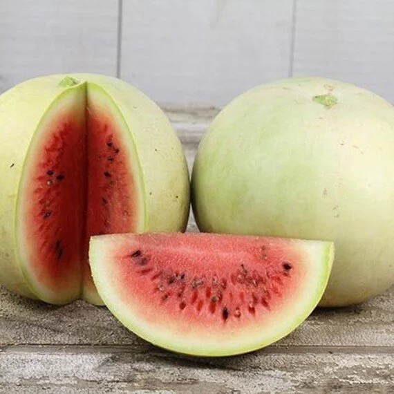 CH’ÉÉHJIYÁÁN Seeds (Winter King & Queen Watermelon)