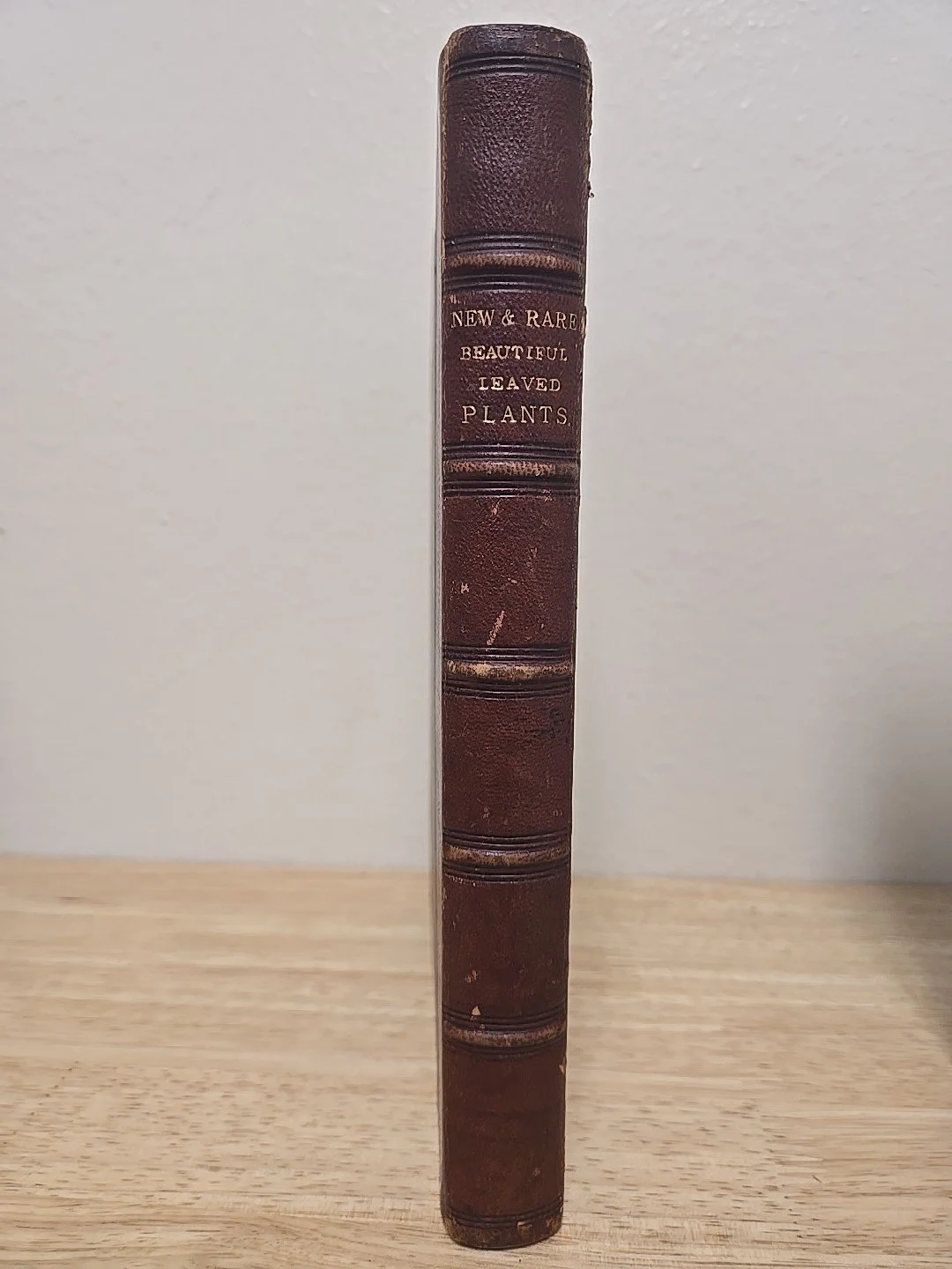 2s-l1600.jpg