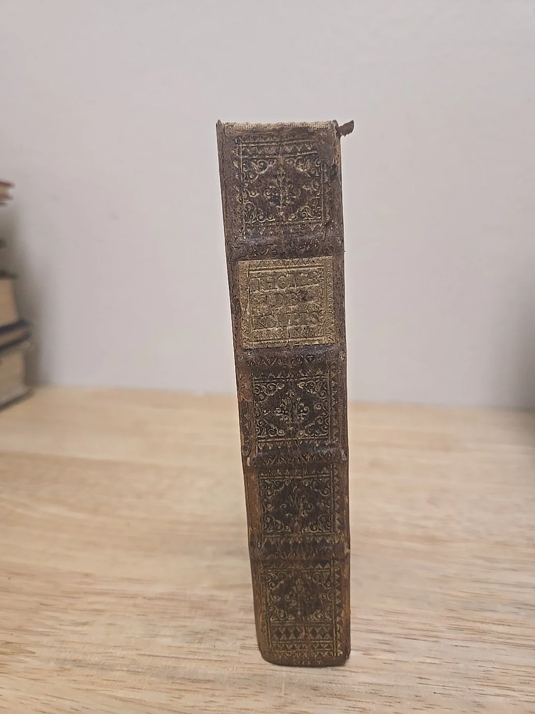 2s-l1600.jpg