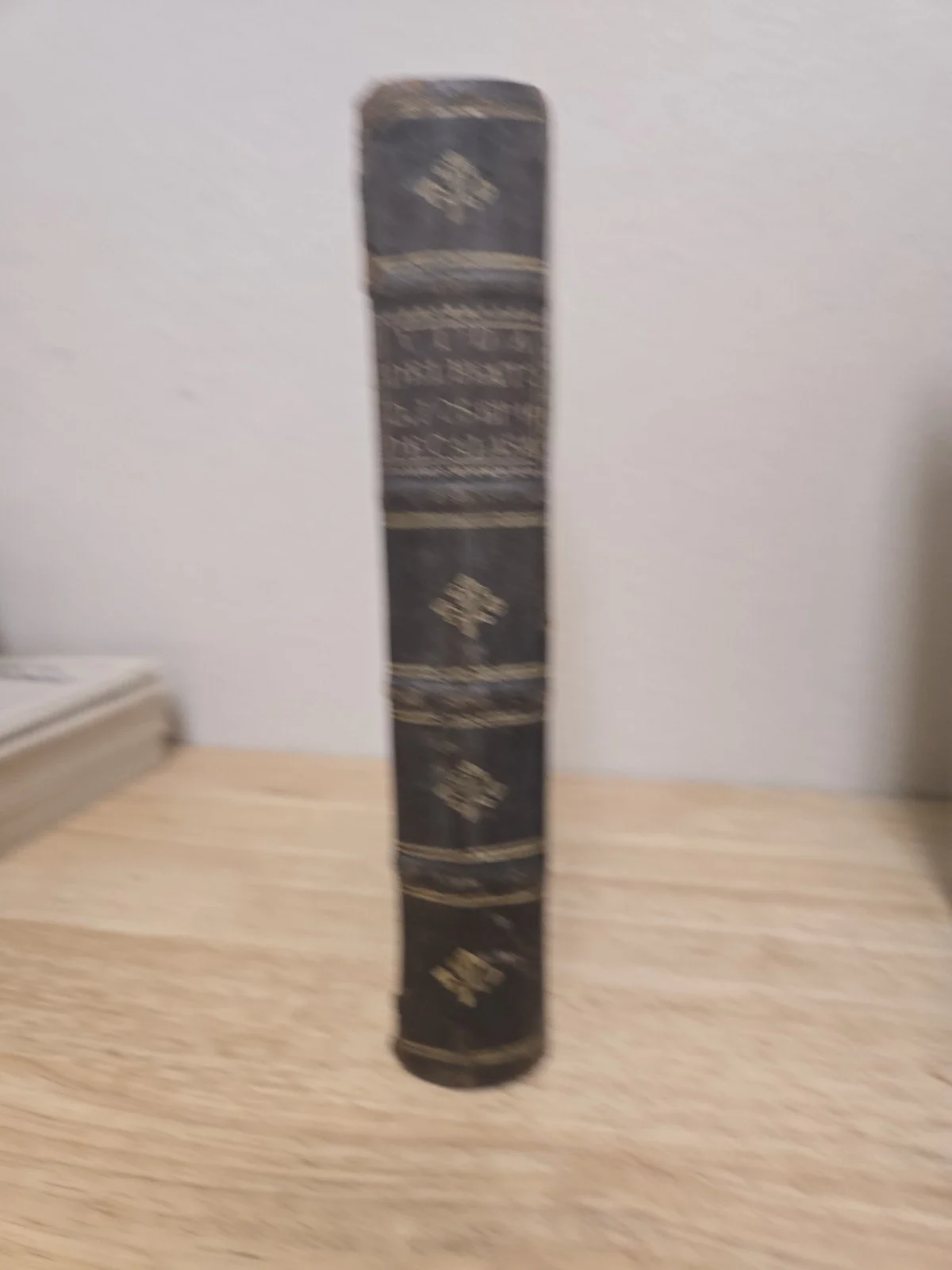 2s-l1600.jpg