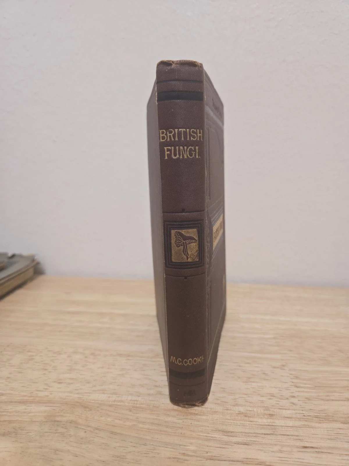 2s-l1600.jpg