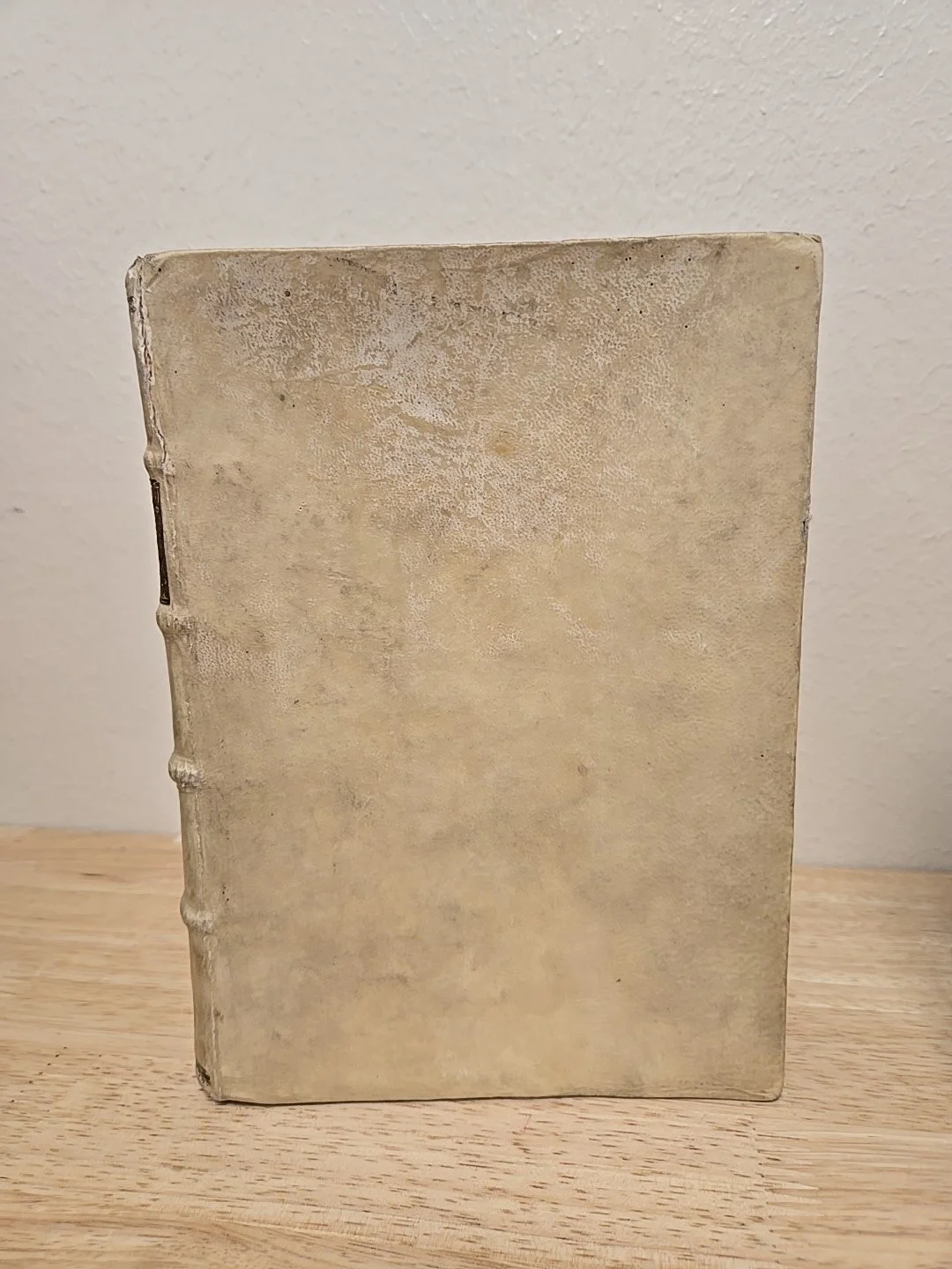 1s-l1600.jpg