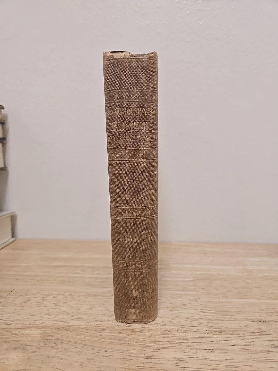2s-l1600.jpg