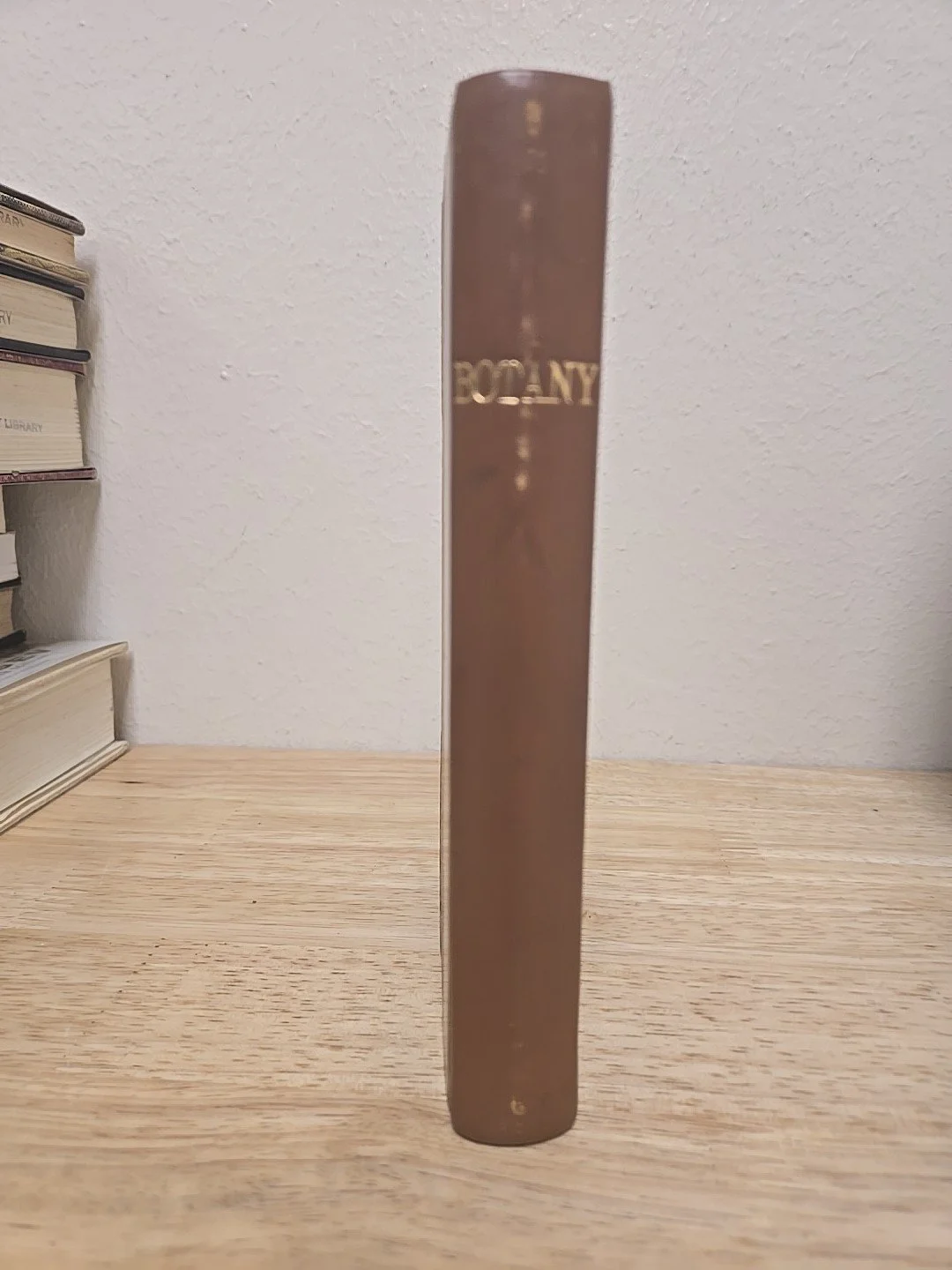 2s-l1600.jpg