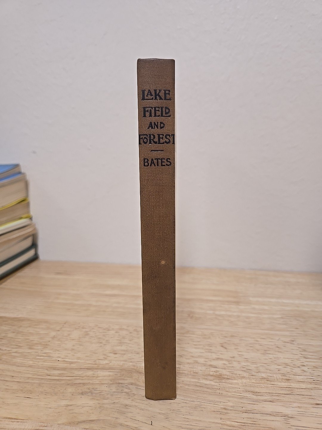 1s-l1600.jpg