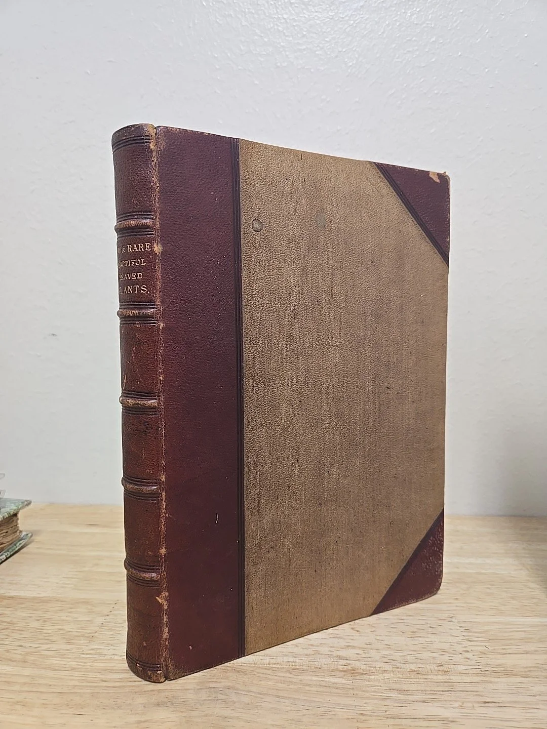 s-l1600.jpg