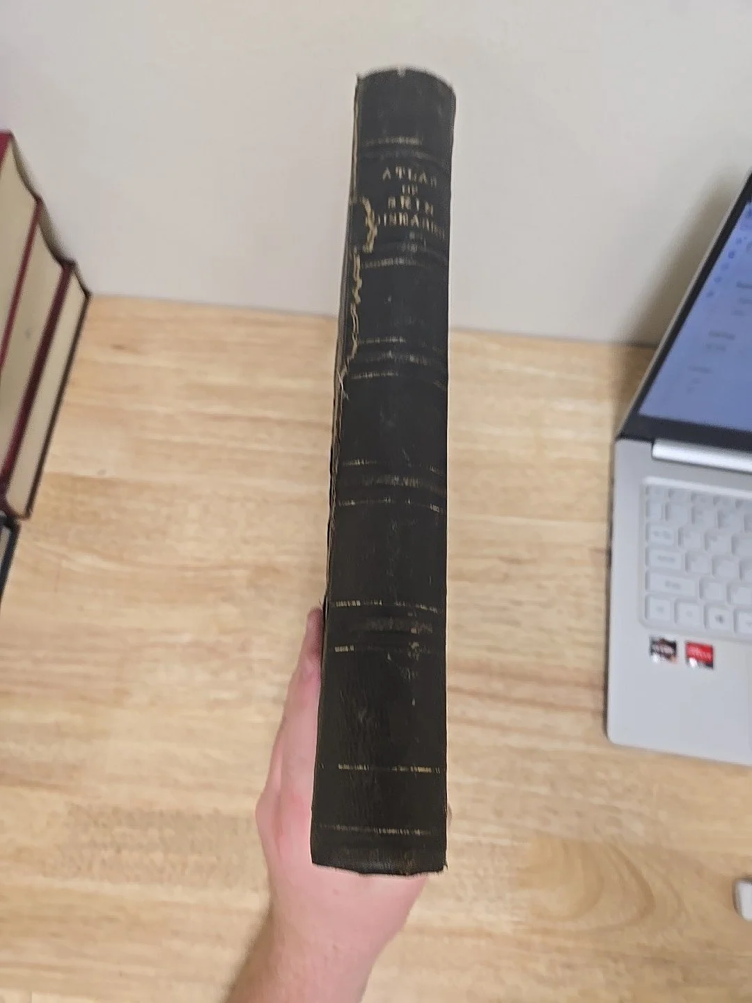 1s-l1600.jpg