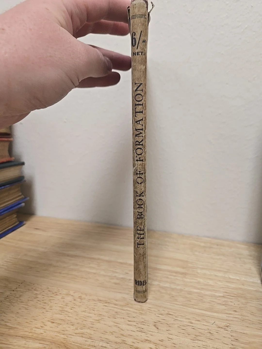 1s-l1600.jpg