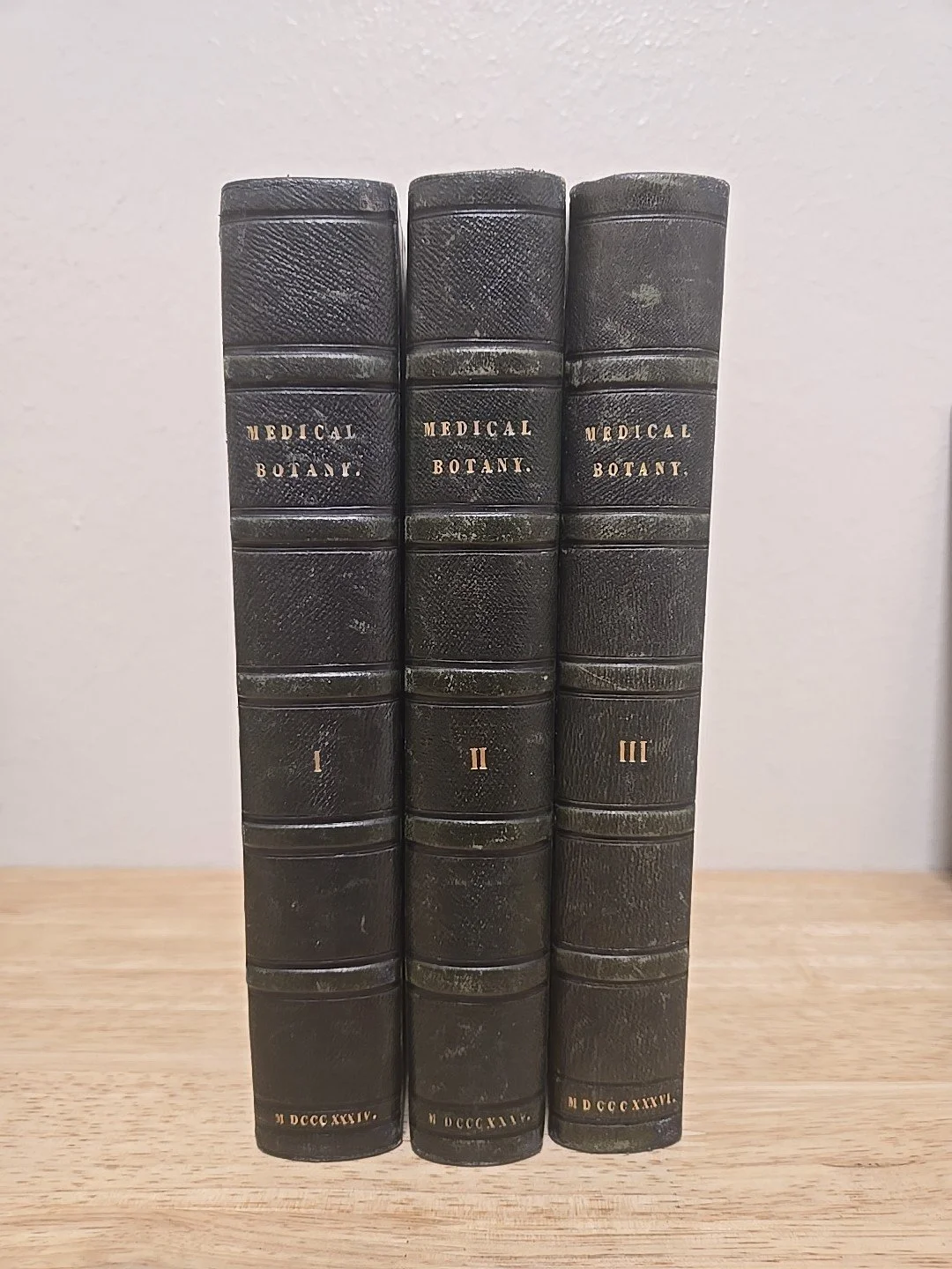 1s-l1600.jpg