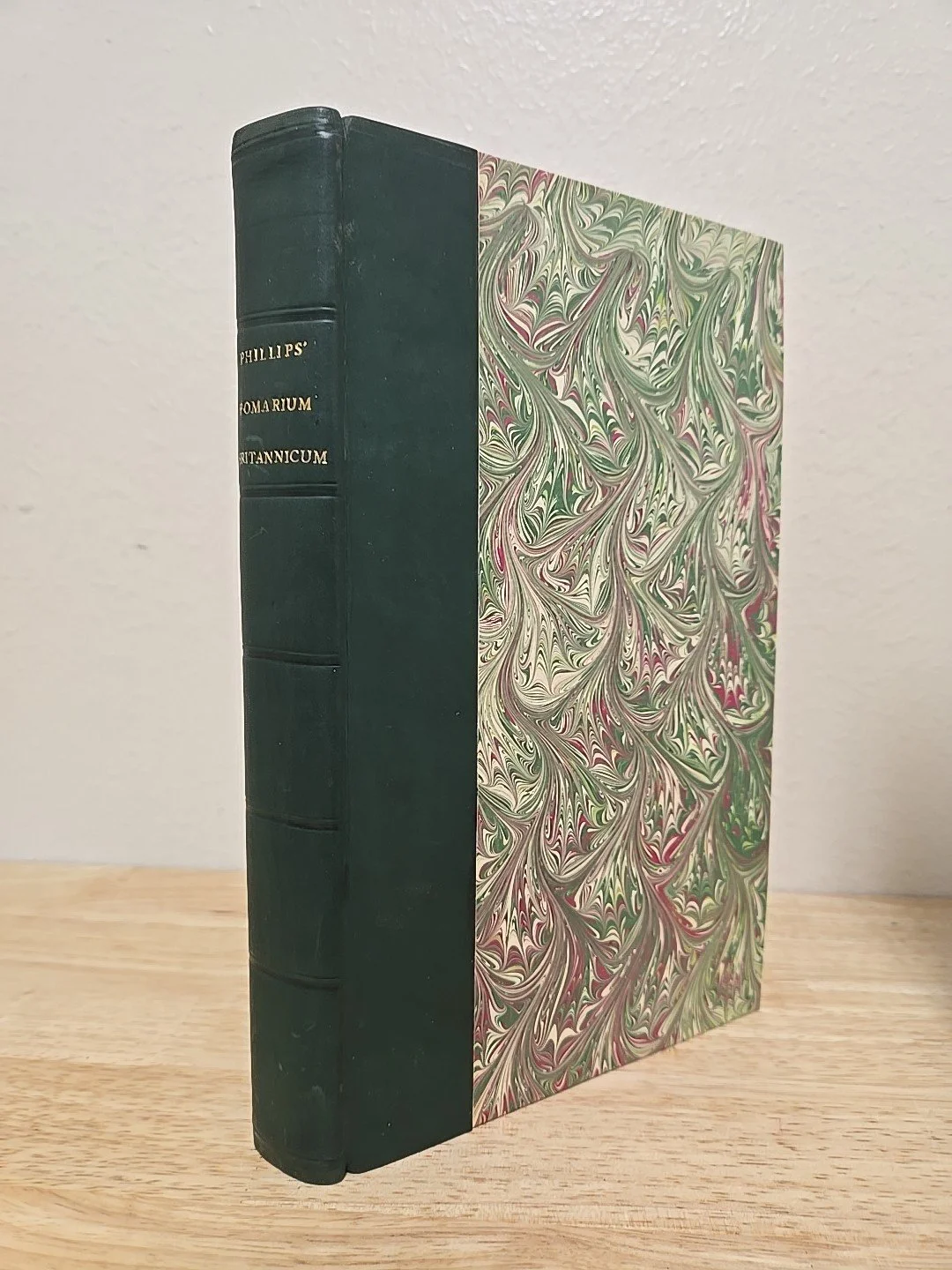 s-l1600.jpg