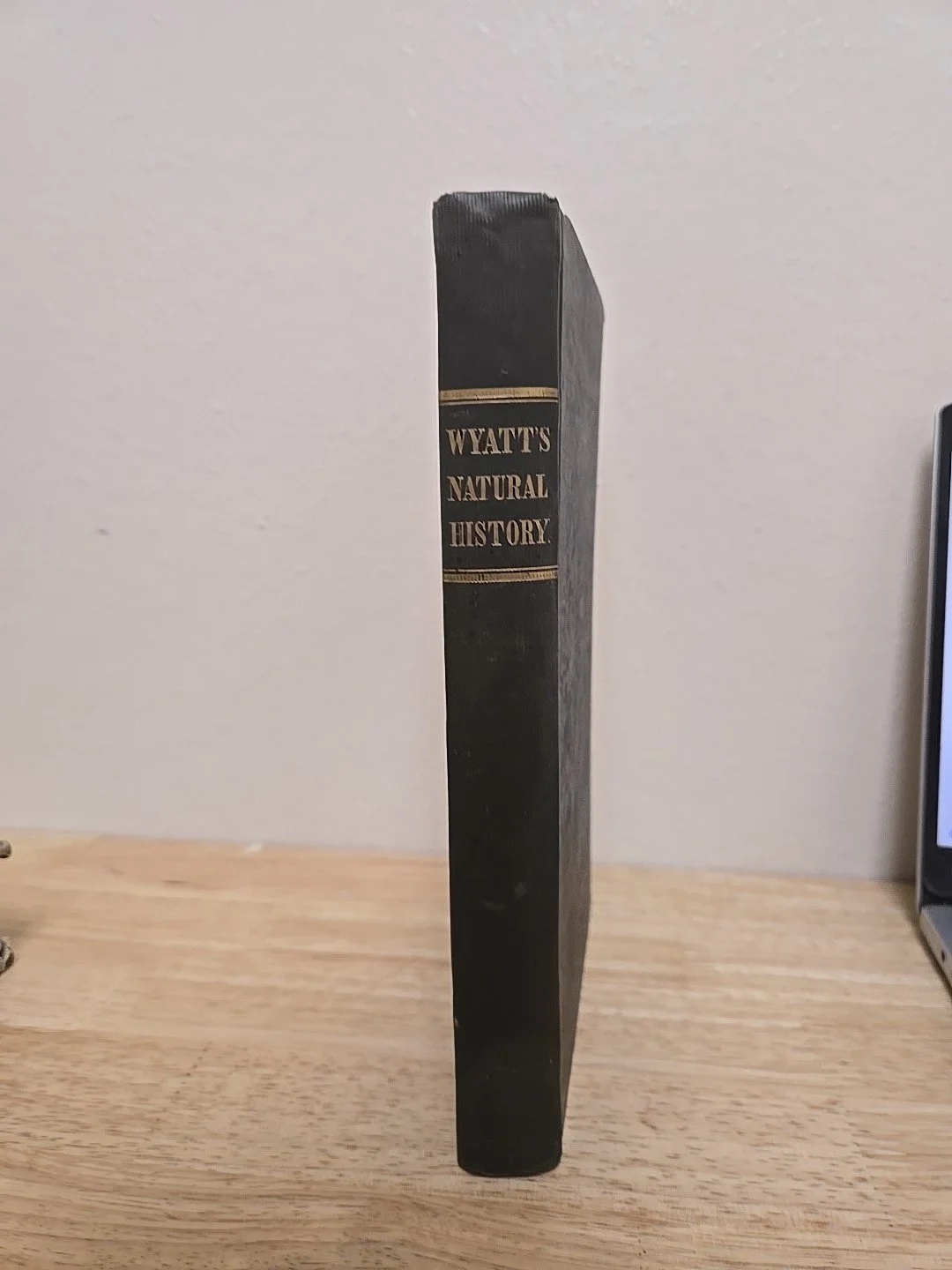 2s-l1600.jpg