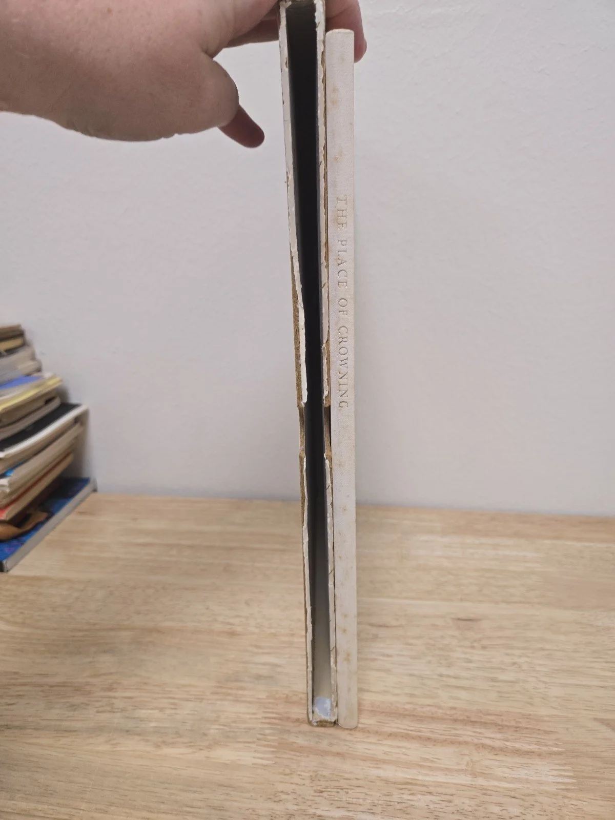 2s-l1600.jpg