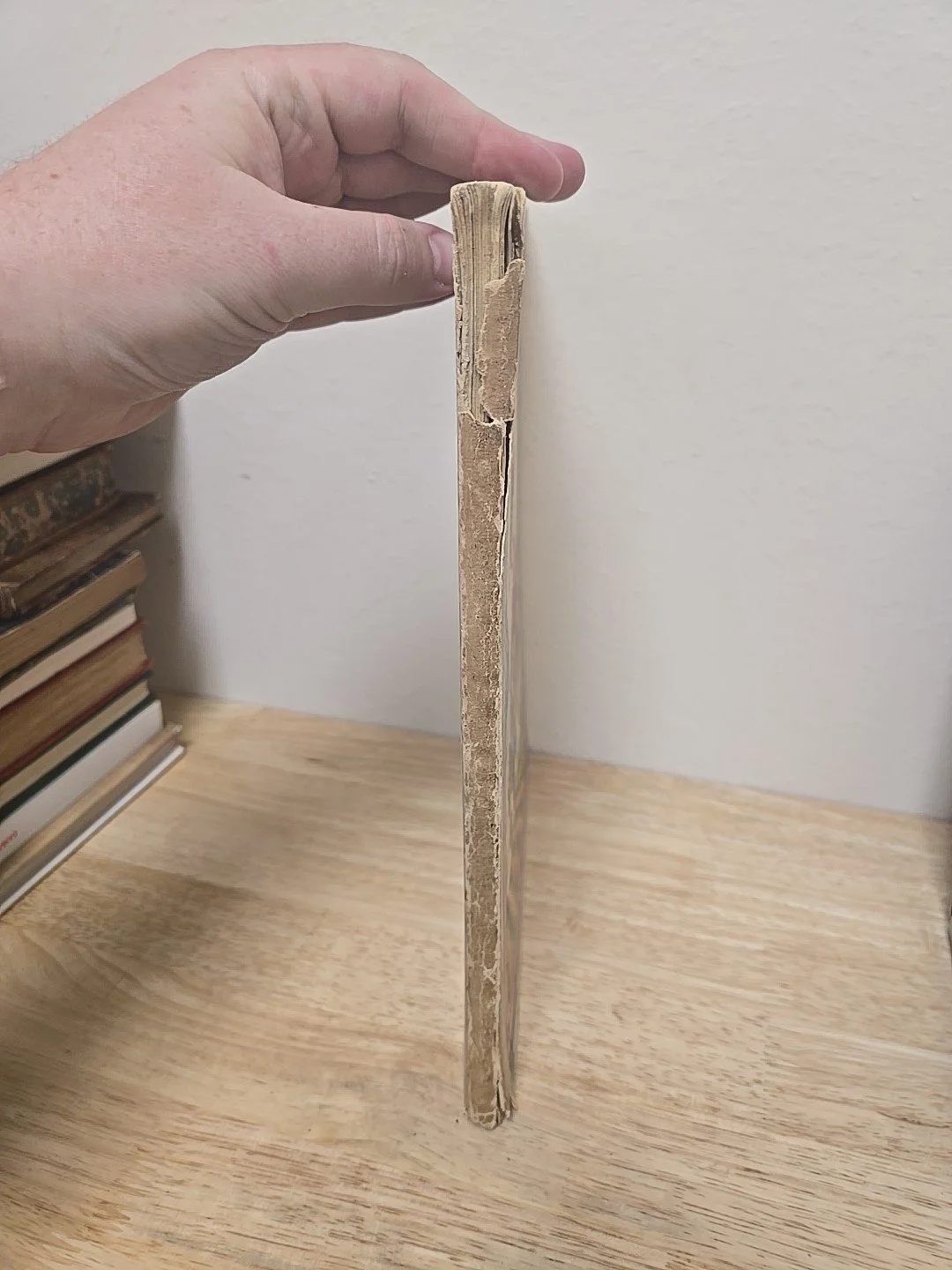 1s-l1600.jpg