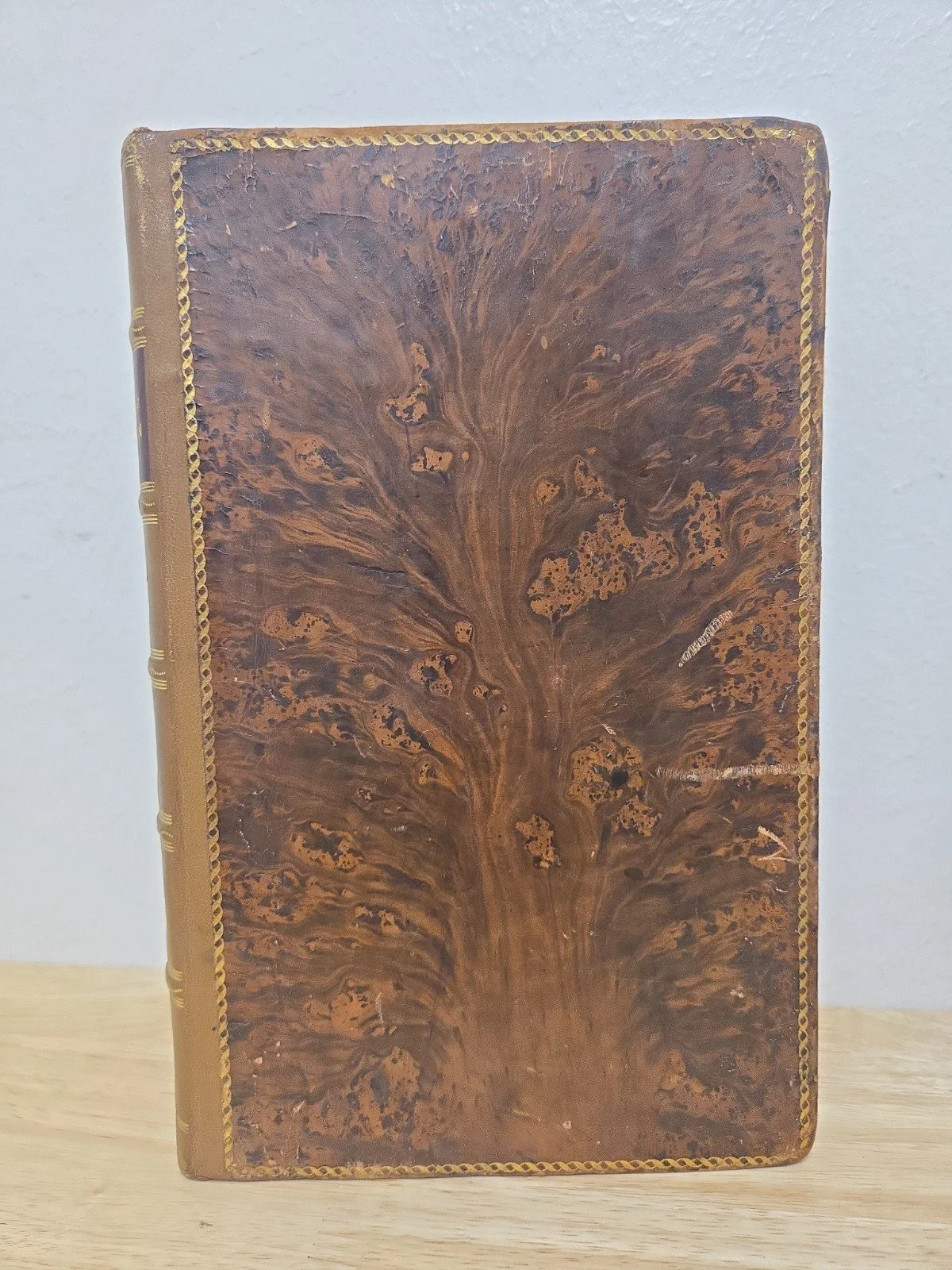 1s-l1600.jpg