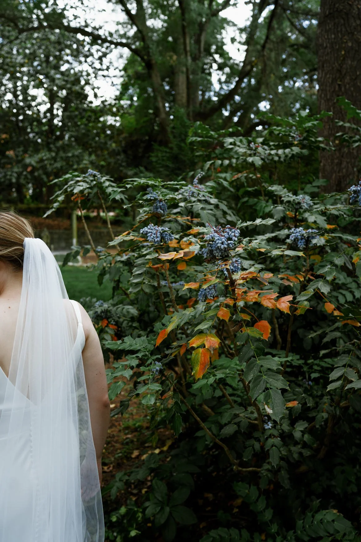 farrah-b-fox-virginia-wedding photographer-film-hybrid-grace-tyler17.jpg