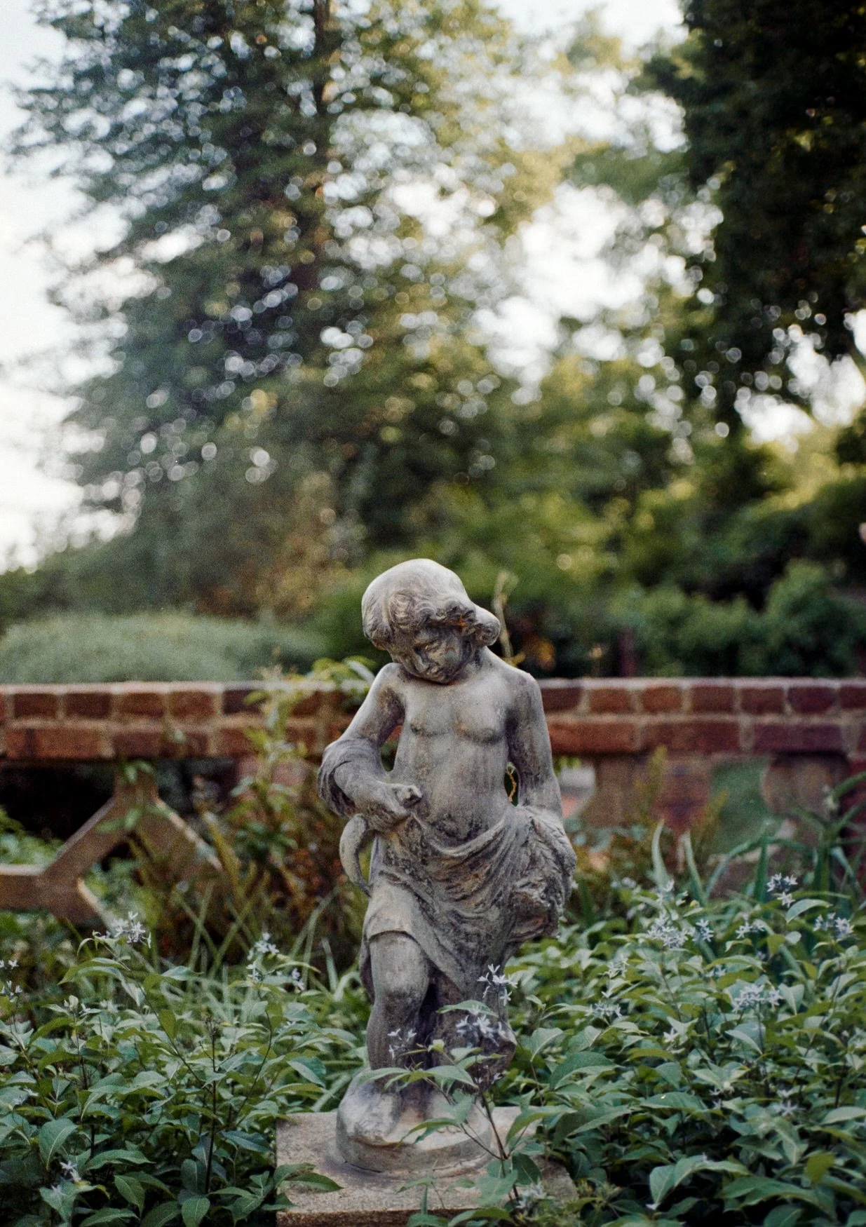 farrah-b-fox-virginia-wedding photographer-film-hybrid-grace-tyler18.jpg