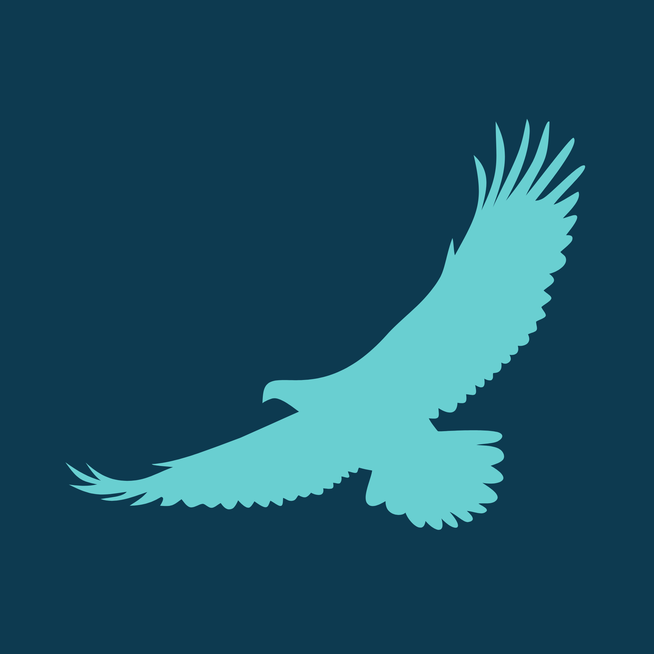 Eagle sponsorship.png