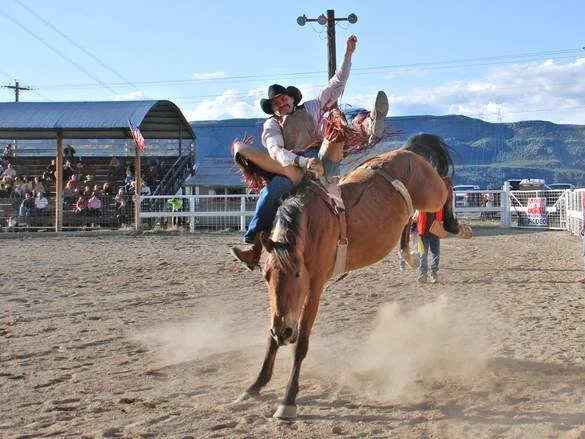 Rodeo1.jpg