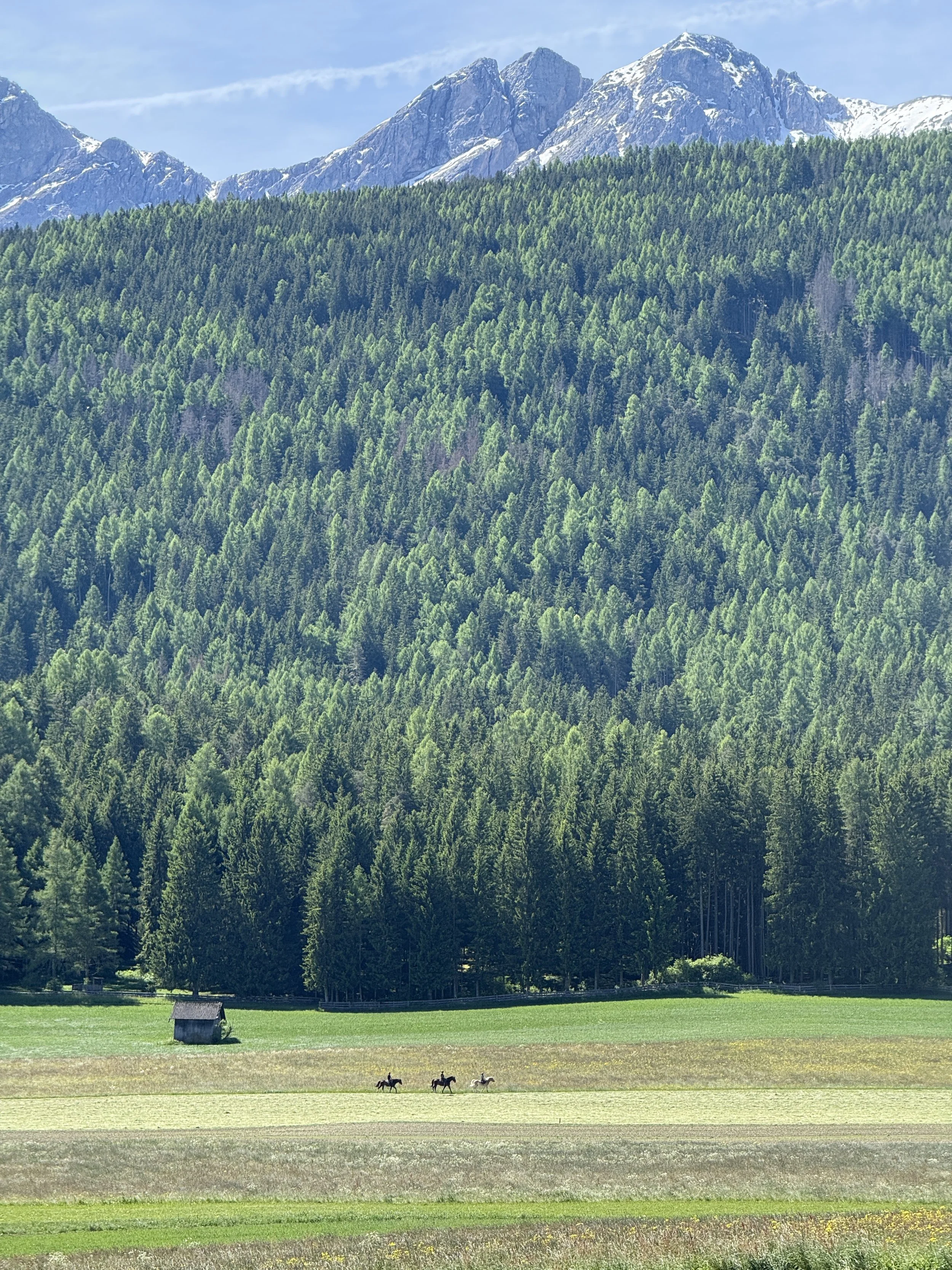 Experience the Italy Locals Know — and Help Keep It That Way