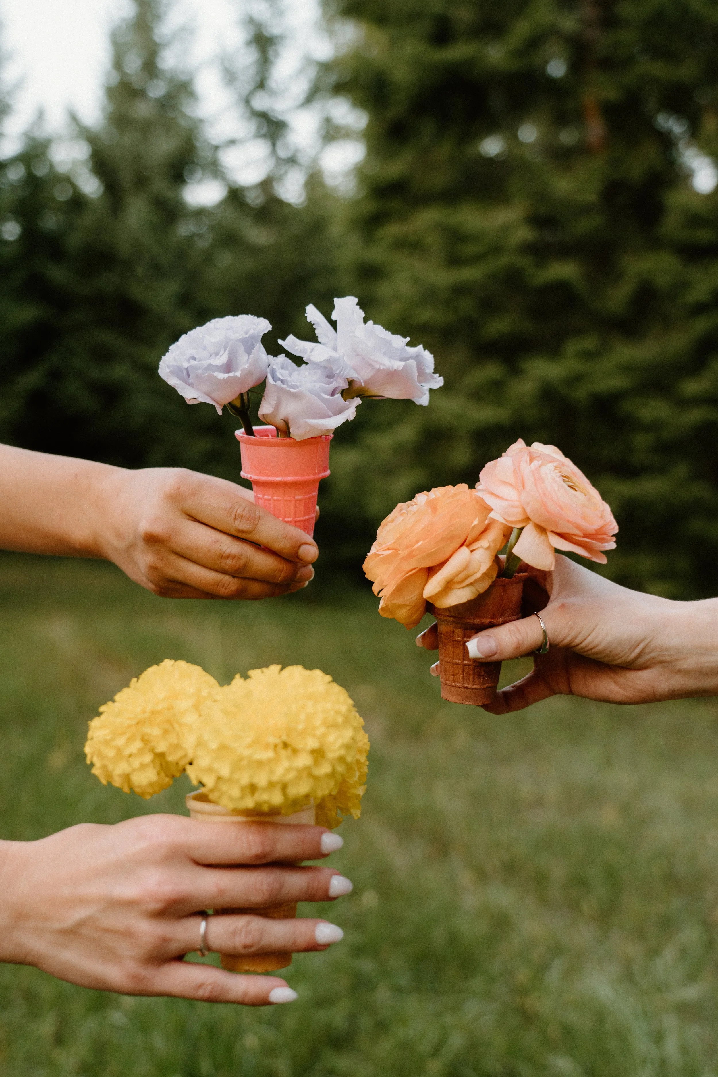 DSC06056.jpg