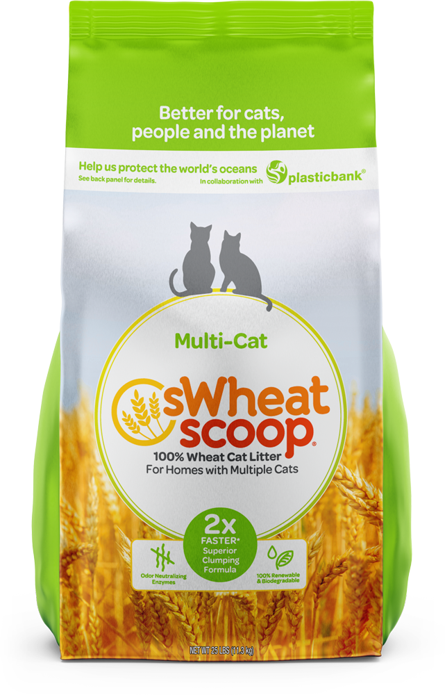 MultiCat AllNatural 100 Wheat Cat Litter — sWheat Scoop