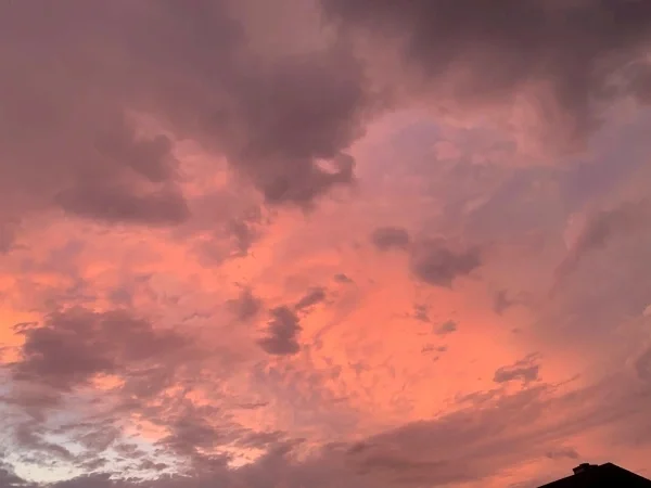 Understanding the Impact of COVID-19 on Anxiety Symptoms