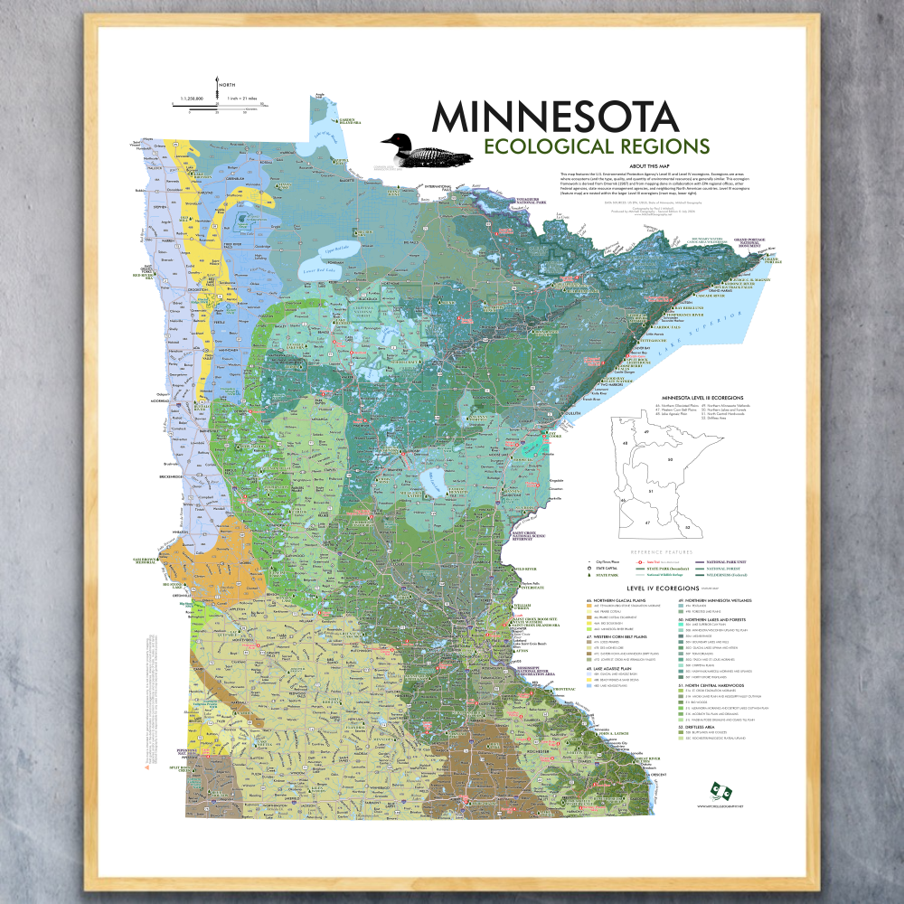 Minnesota Ecological Regions (24 in x 20 in)