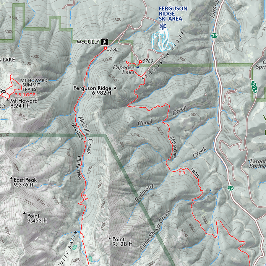 Wallowas_28x20_det5.png