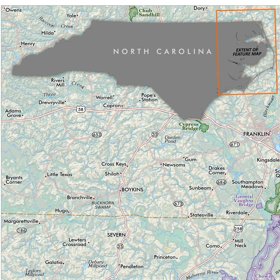 OBX_det7.png