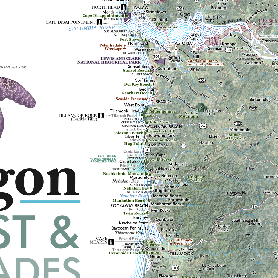 OR_coast_det2.png