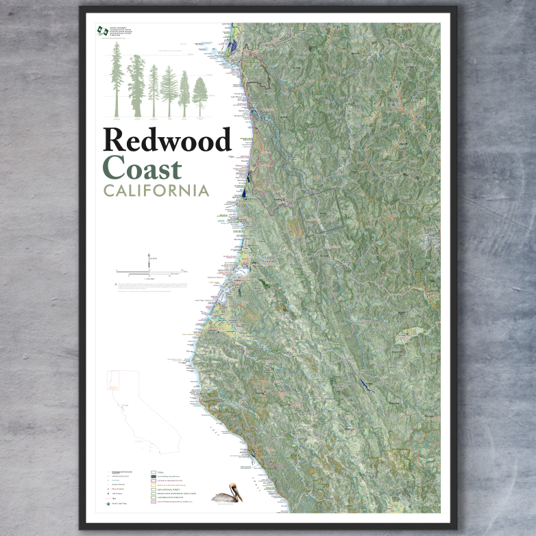 Redwood_framed1.png