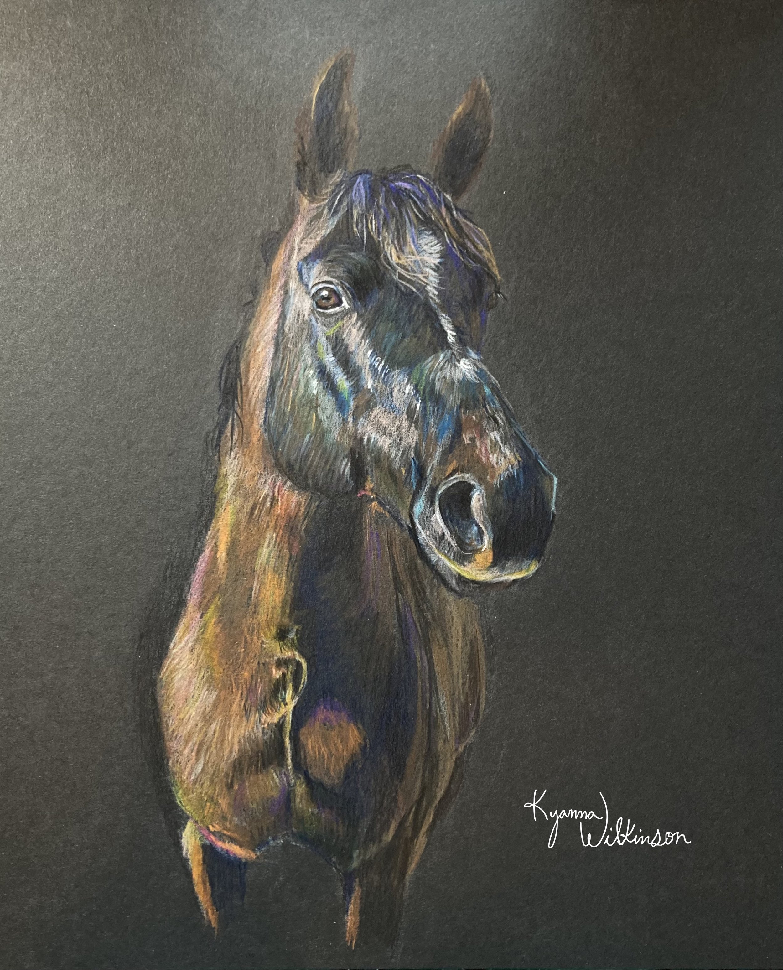 Sketch 3/3 of Buck, coloured pencil on paper