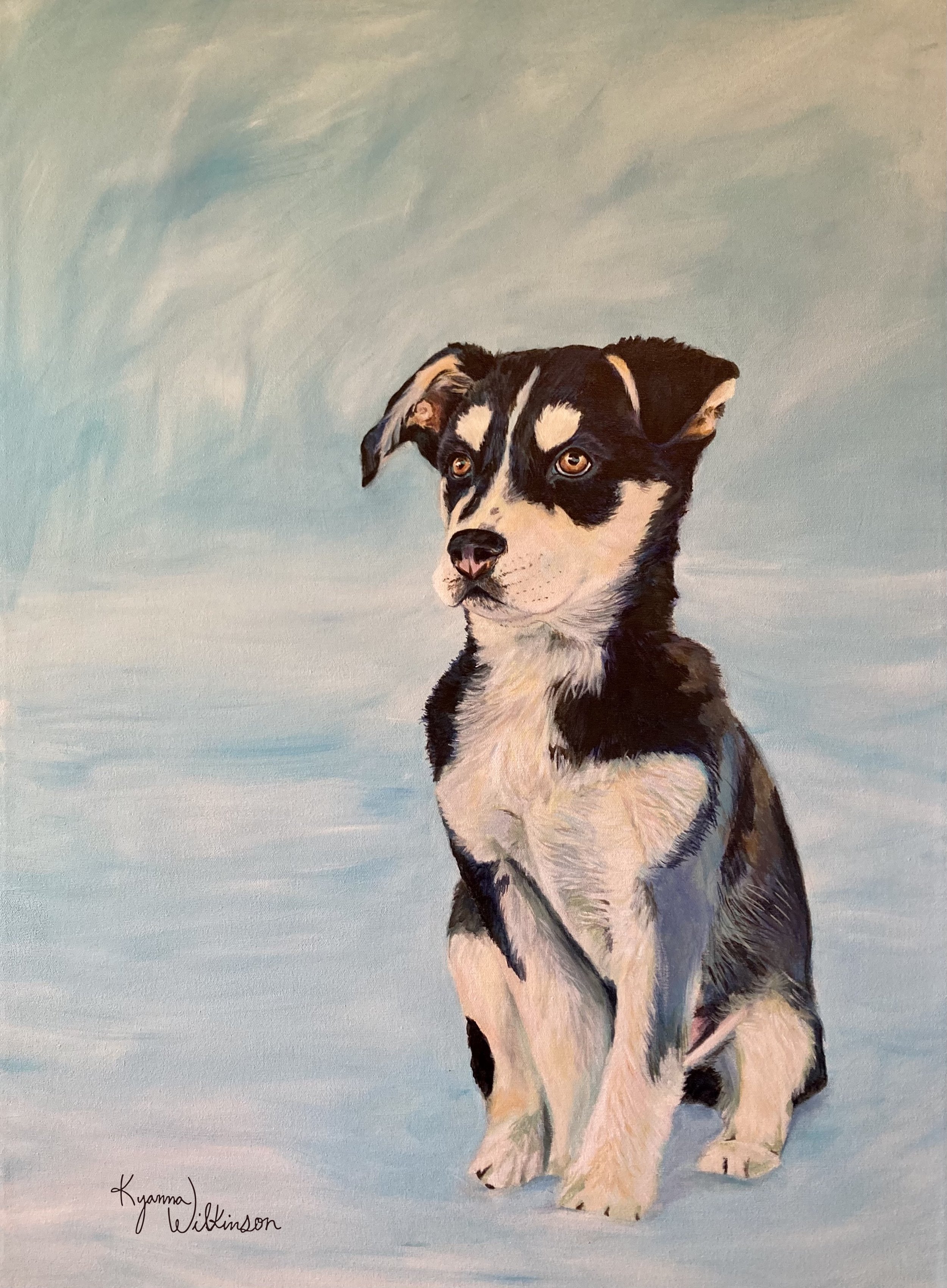 Sasha, Acrylic on Canvas