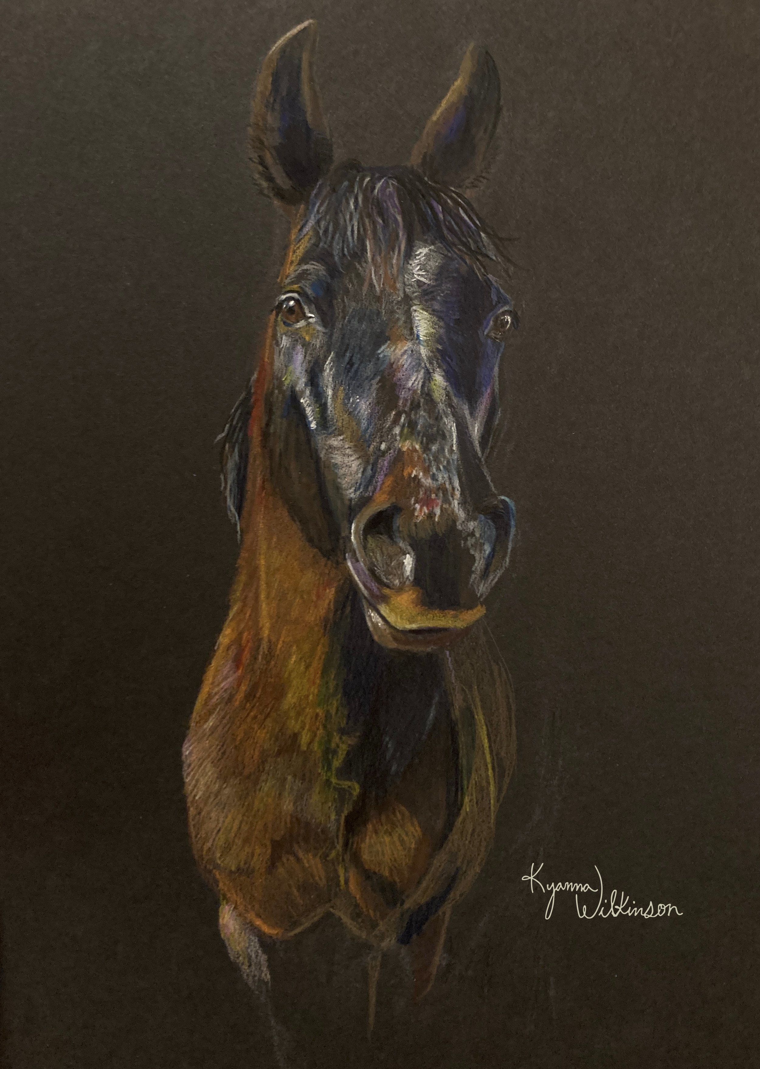 Sketch 2/3 of Buck, coloured pencil on paper