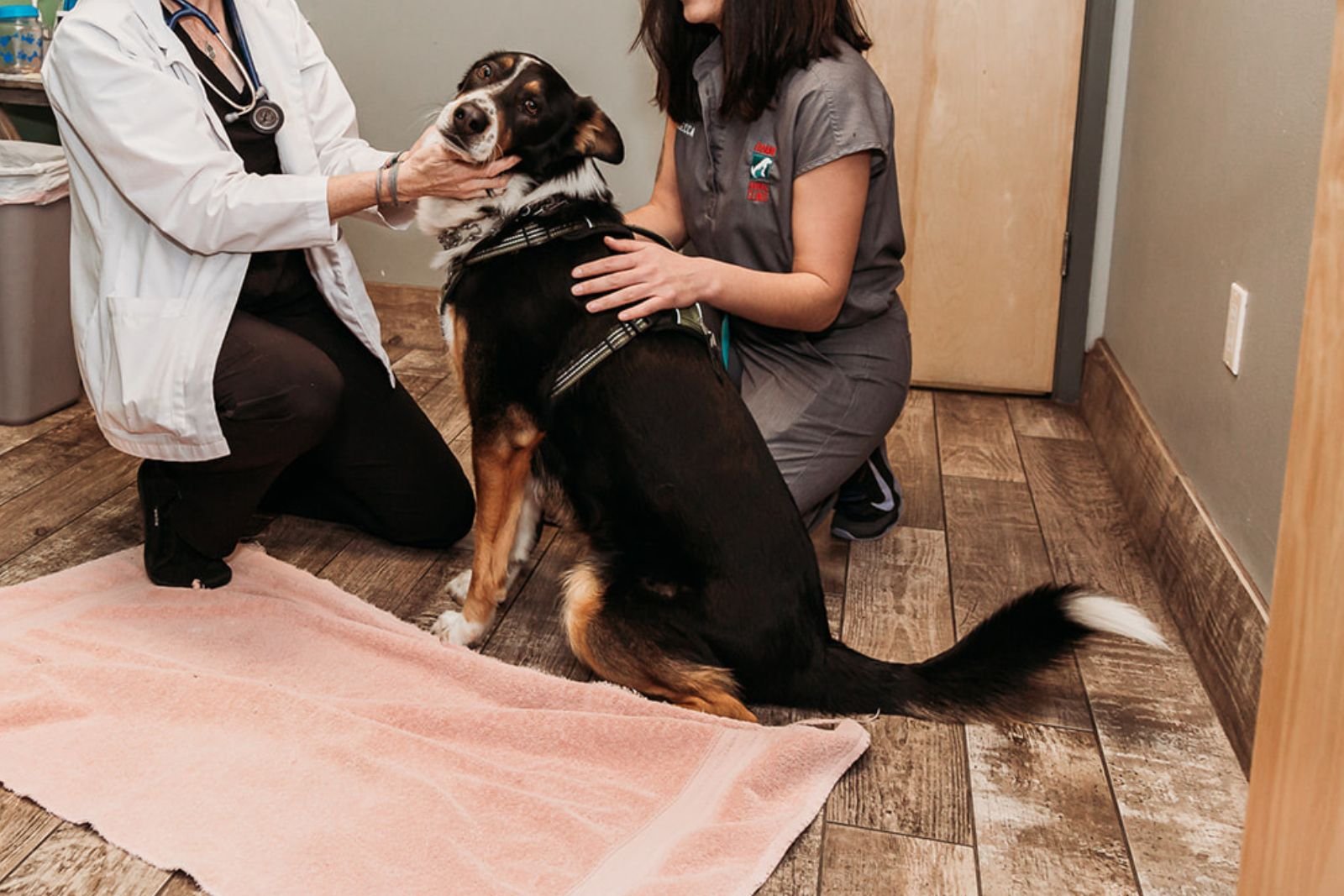 Los Sueños Community Giving