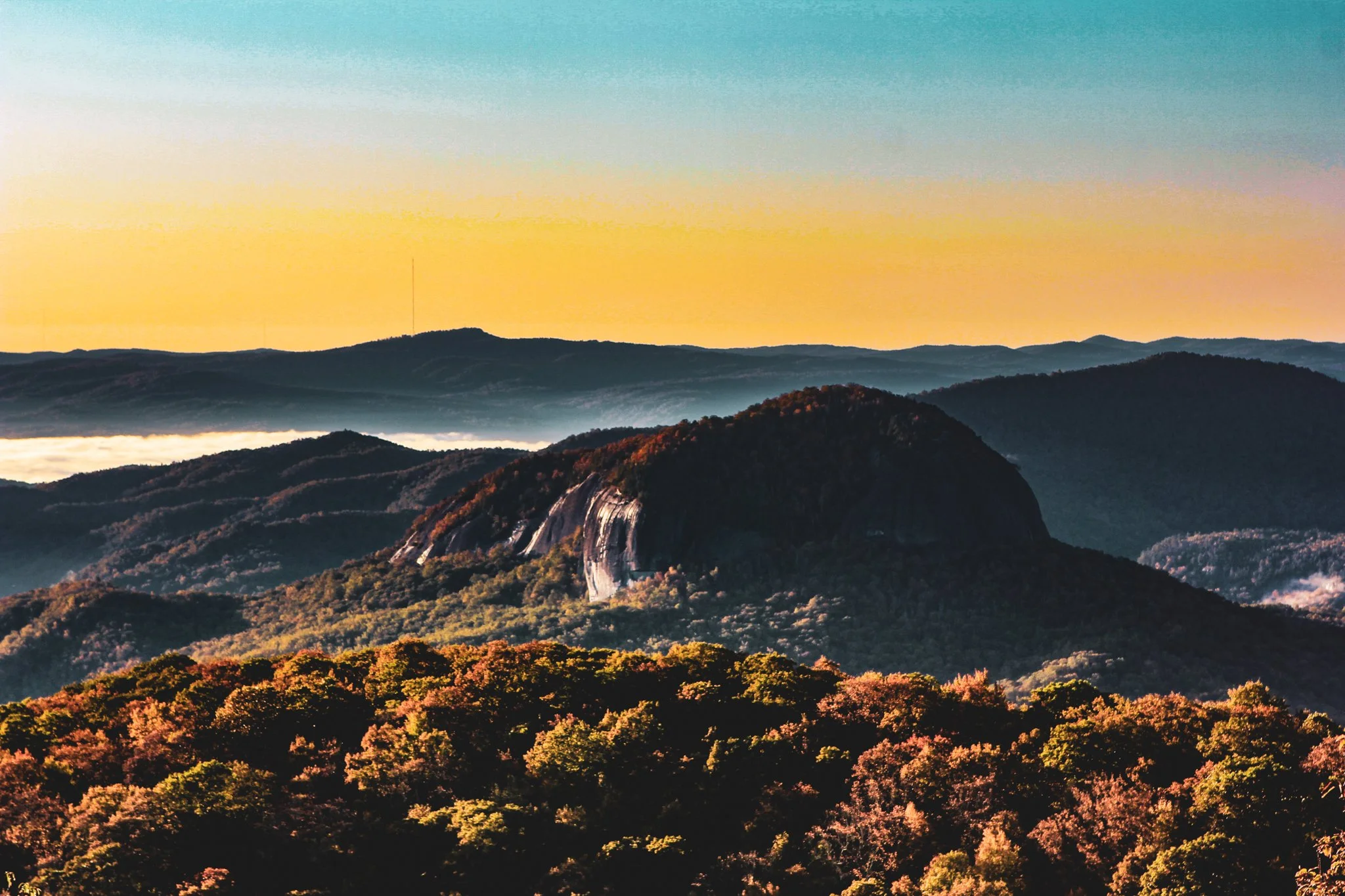 Kelleher-Landscape2.jpg