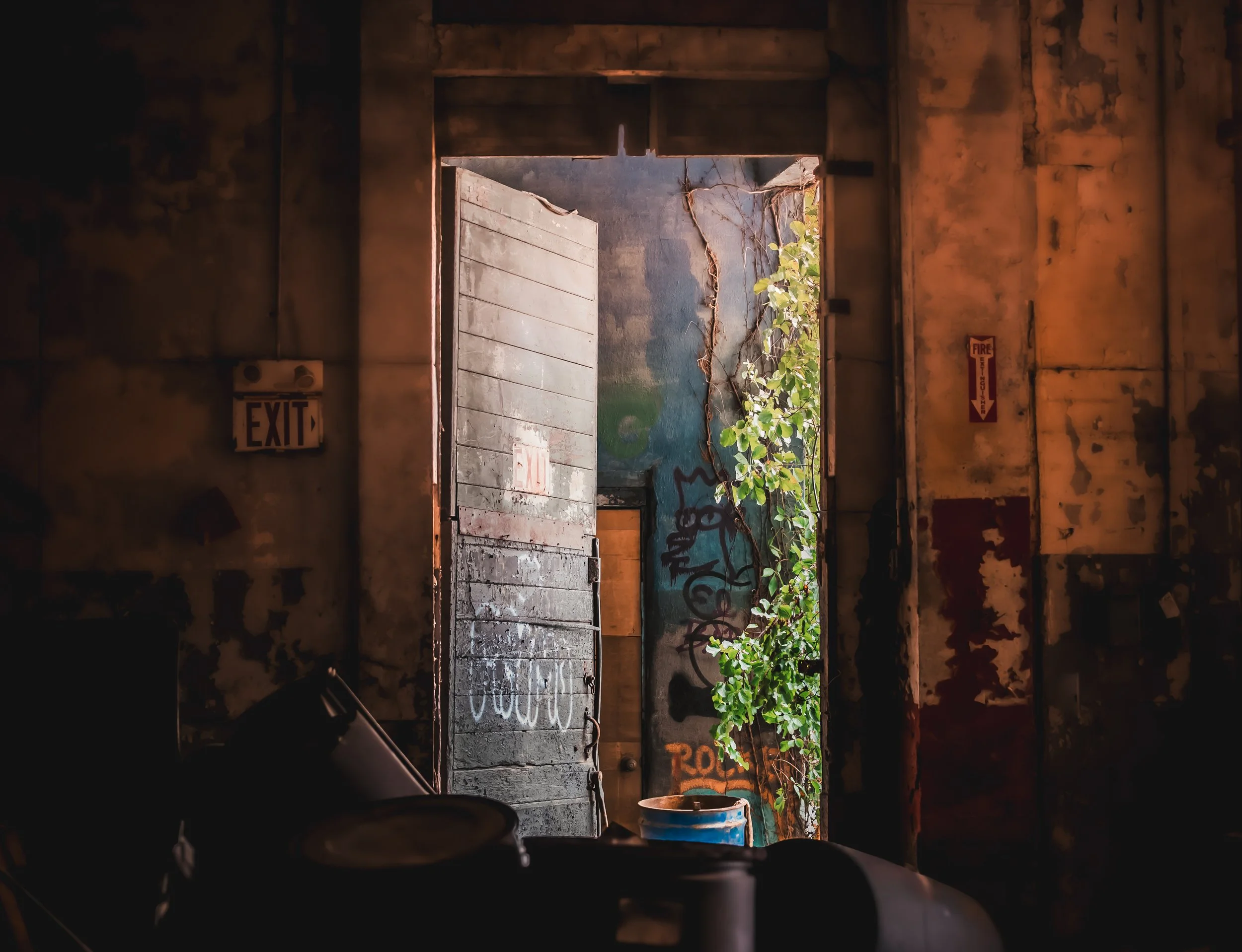 Exit Door wide.jpg