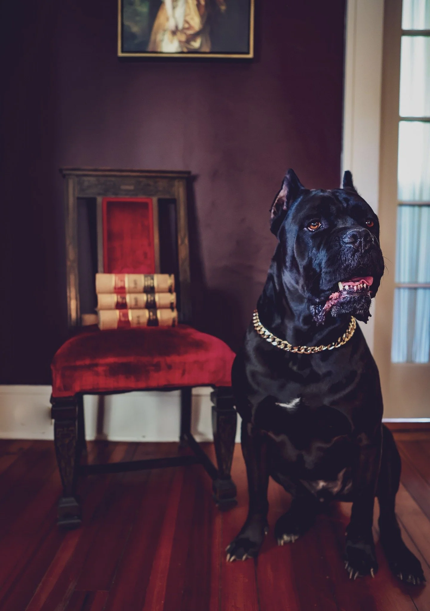 LawOfficeDog.jpg