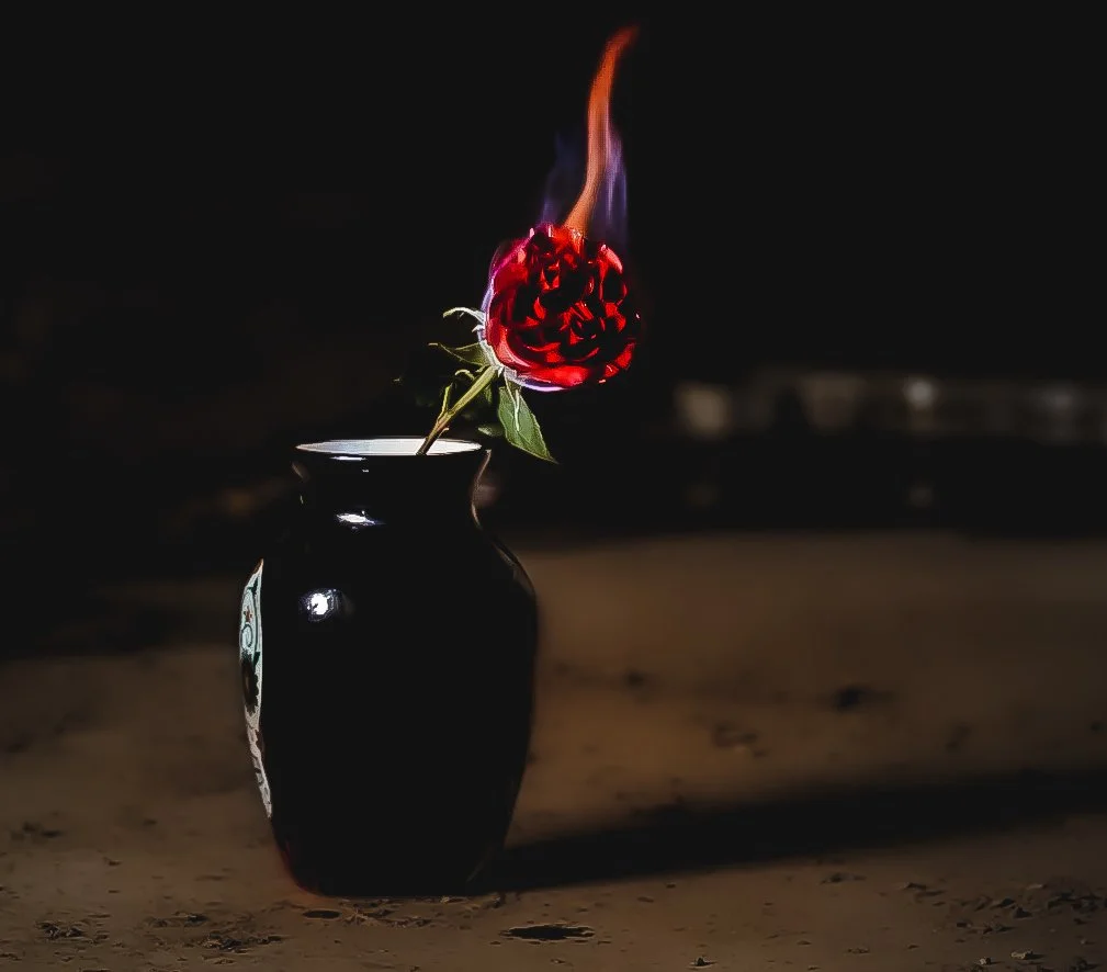 Fire Rose 1.jpg