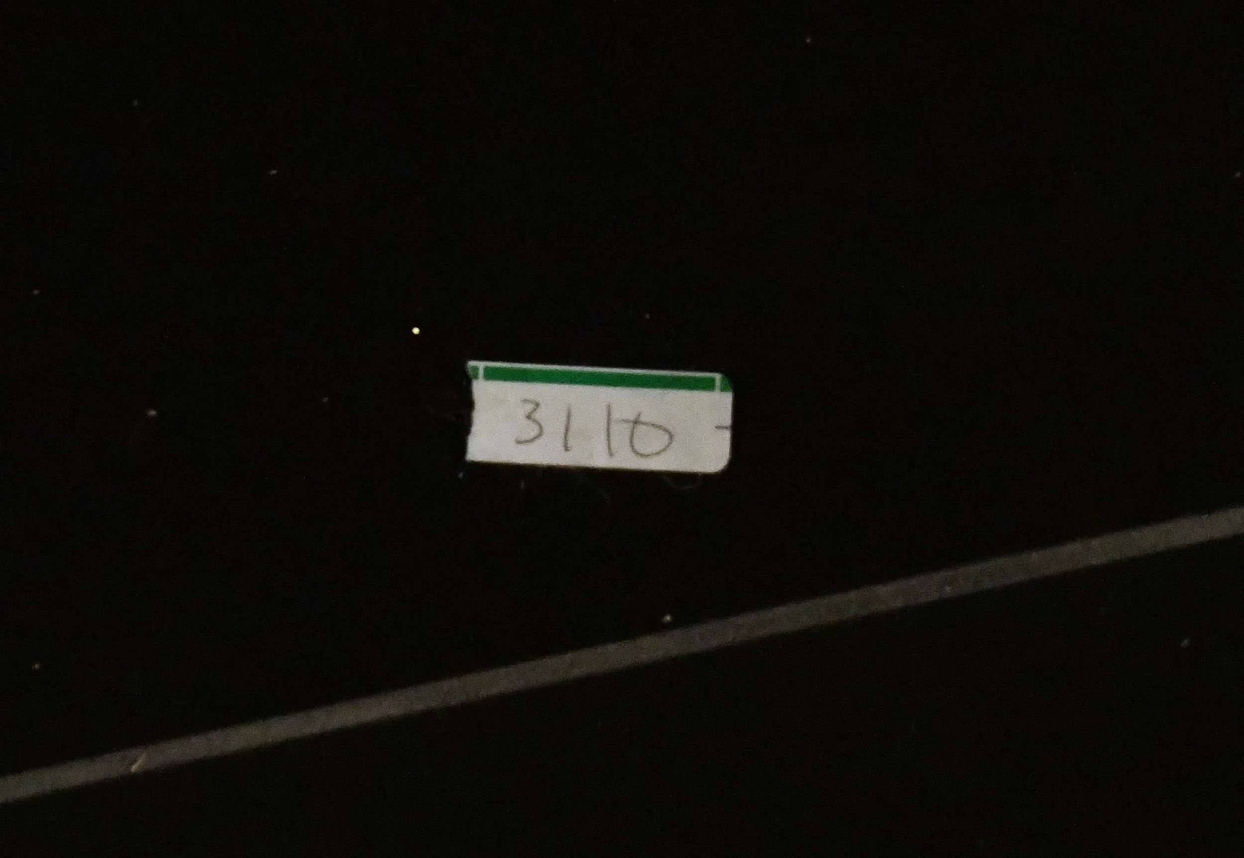 DSC_8485.jpg