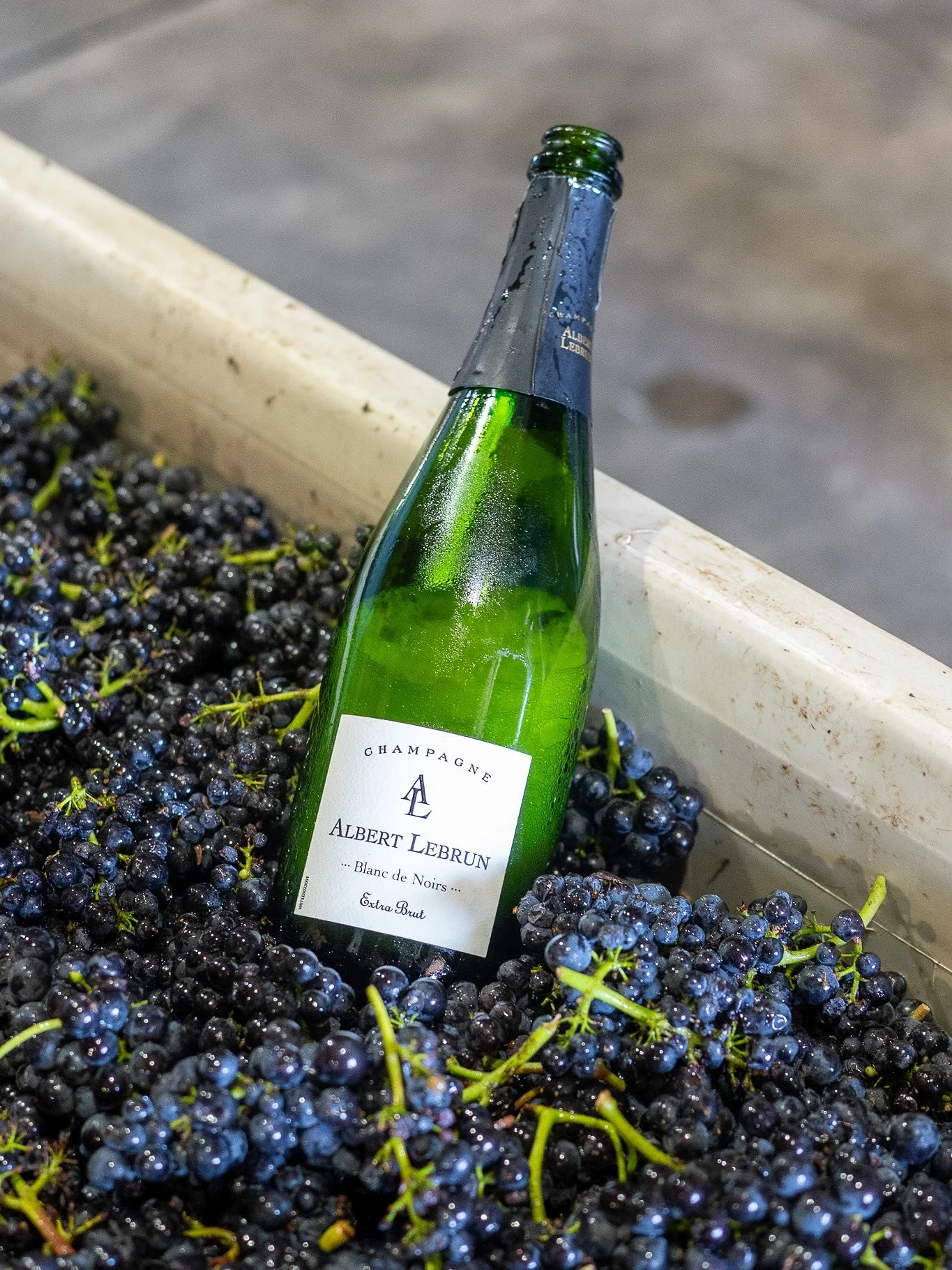 &ldquo;13 is my lucky number&rdquo;

Ted&rsquo;s 13th harvest is under way. 

Pinot Noir for V&ouml;cal Reserve has been harvested off the Cortada Alta Vineyard - an incredible high altitude vineyard in the Santa Lucia Highlands. 

Mythic Mount Eden 