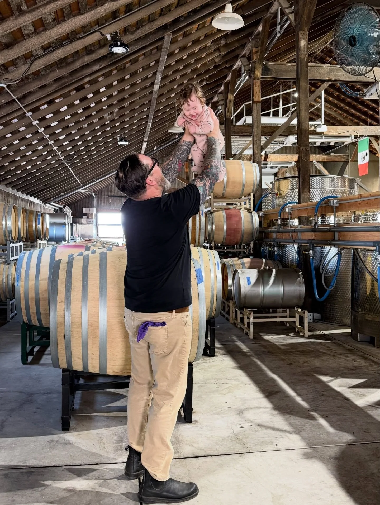 El Siete de Ted! 🥳

Help us celebrate Ted, husband, winemaker, dj, sales rep, and the best girl dad to three daughters.

In honor of the man behind the bottles (and usually behind the wheel), we&rsquo;re throwing a little flash sale through the week
