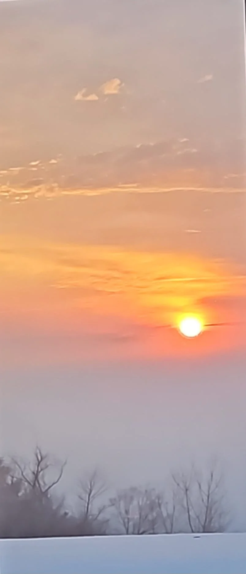 Henry’s Journey Has Ended - A Mindful Approach to Dementia &amp; Psychedelics